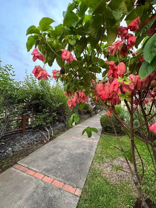 Renovated 2 Bed condo 5 min walk to beach