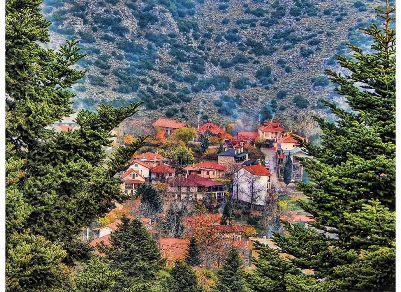 Asimina Guesthouse, Eptalofos Parnassos
