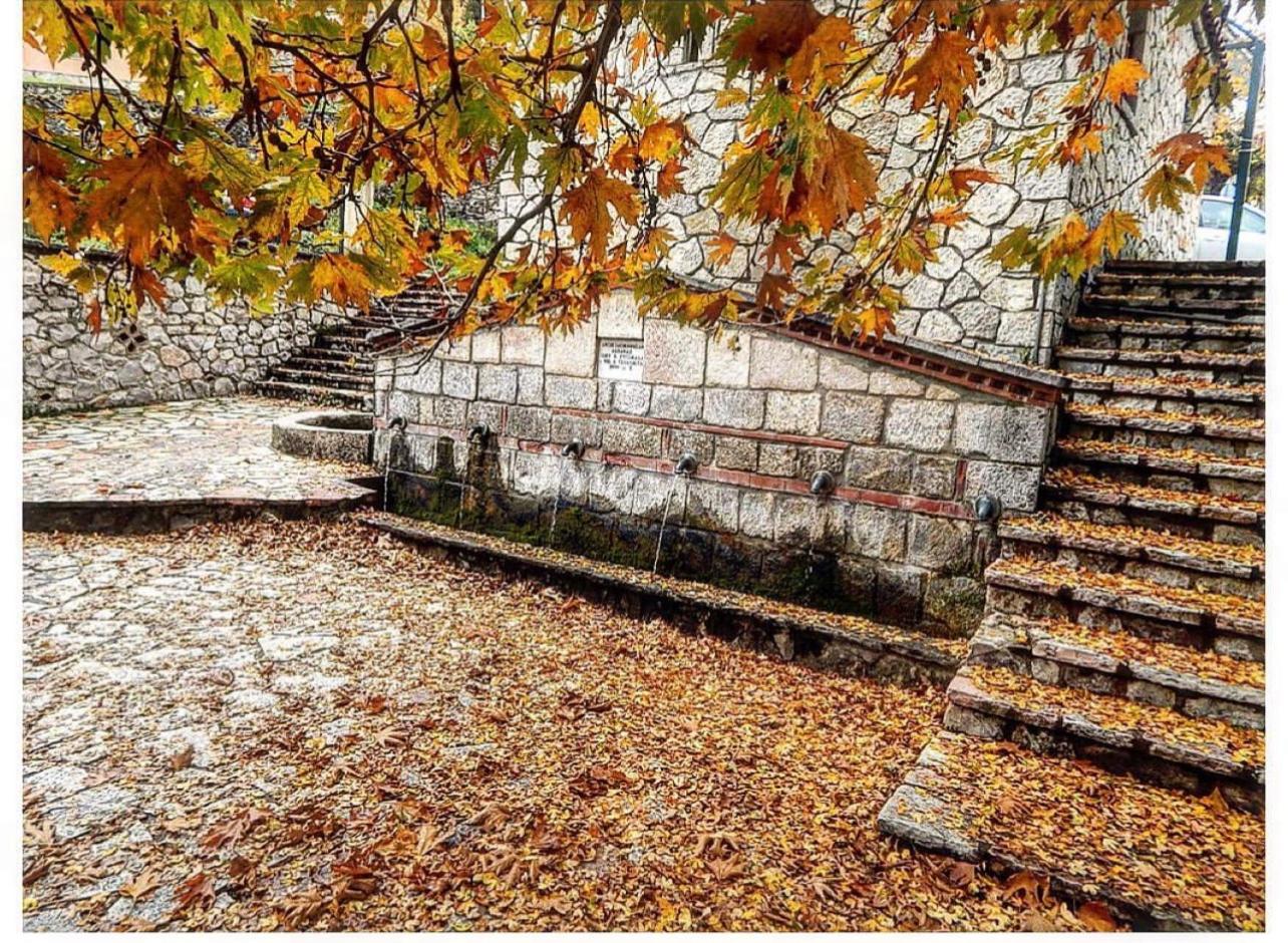Asimina Guesthouse, Eptalofos Parnassos