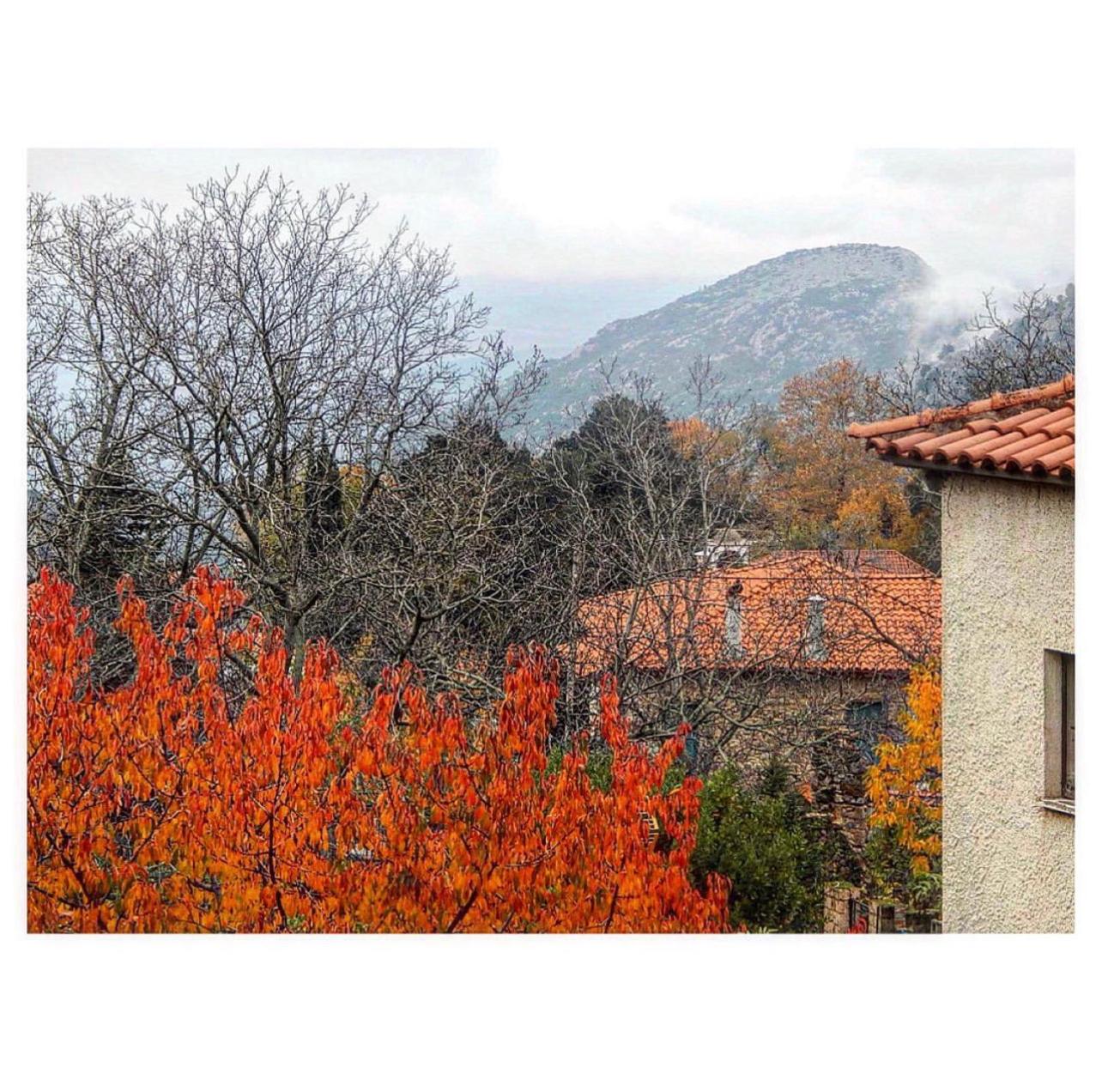 Asimina Guesthouse, Eptalofos Parnassos
