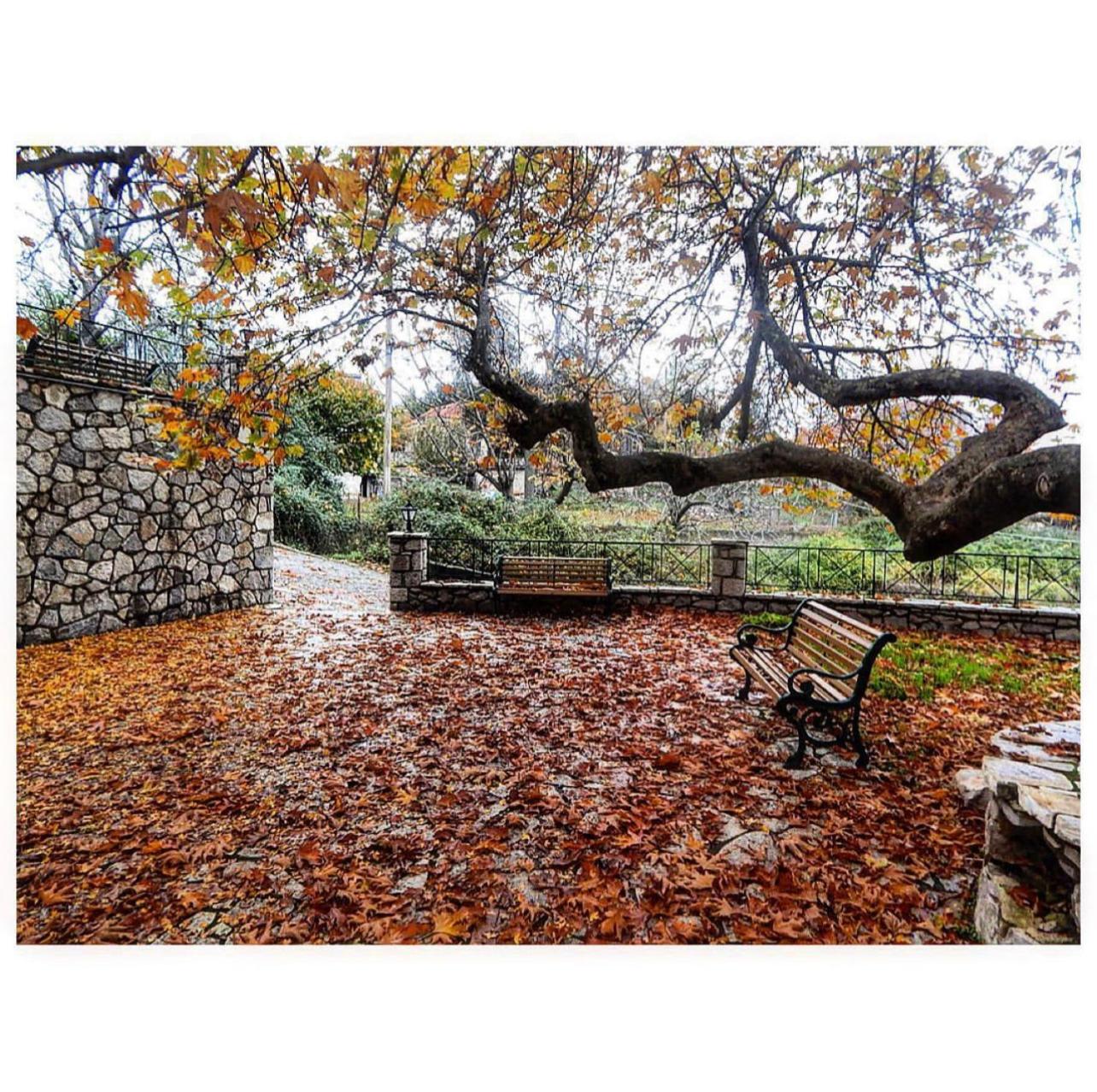 Asimina Guesthouse, Eptalofos Parnassos