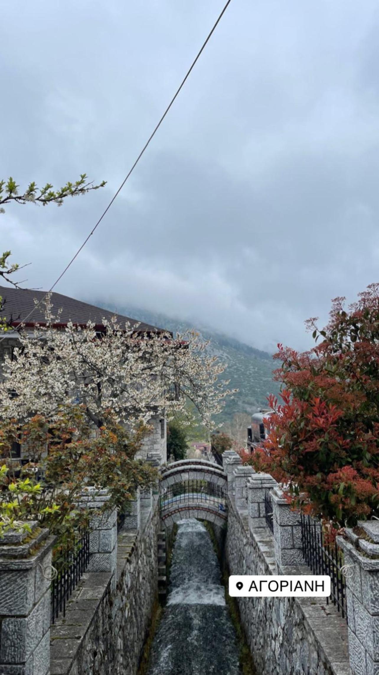 Asimina Guesthouse, Eptalofos Parnassos