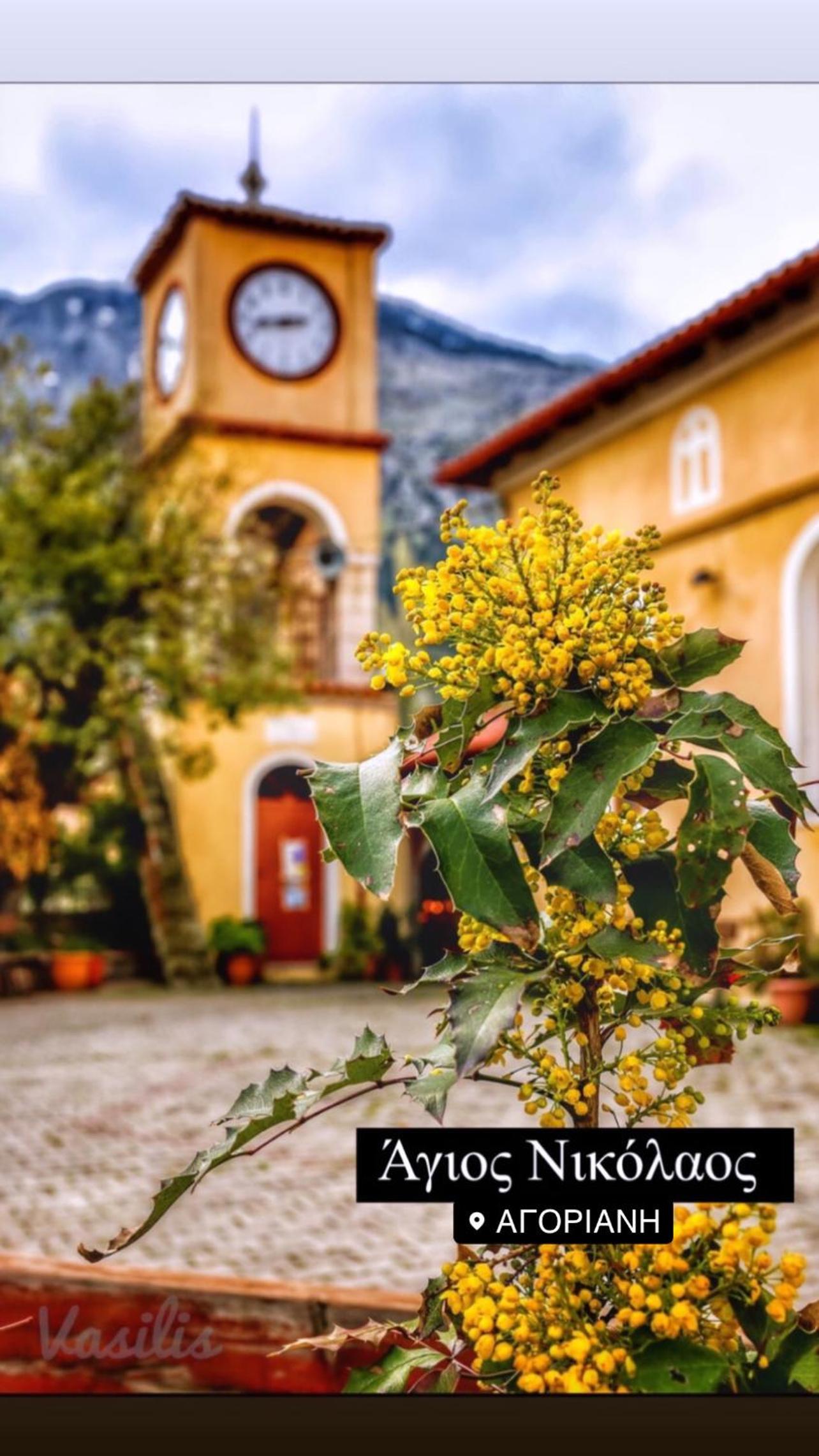 Asimina Guesthouse, Eptalofos Parnassos