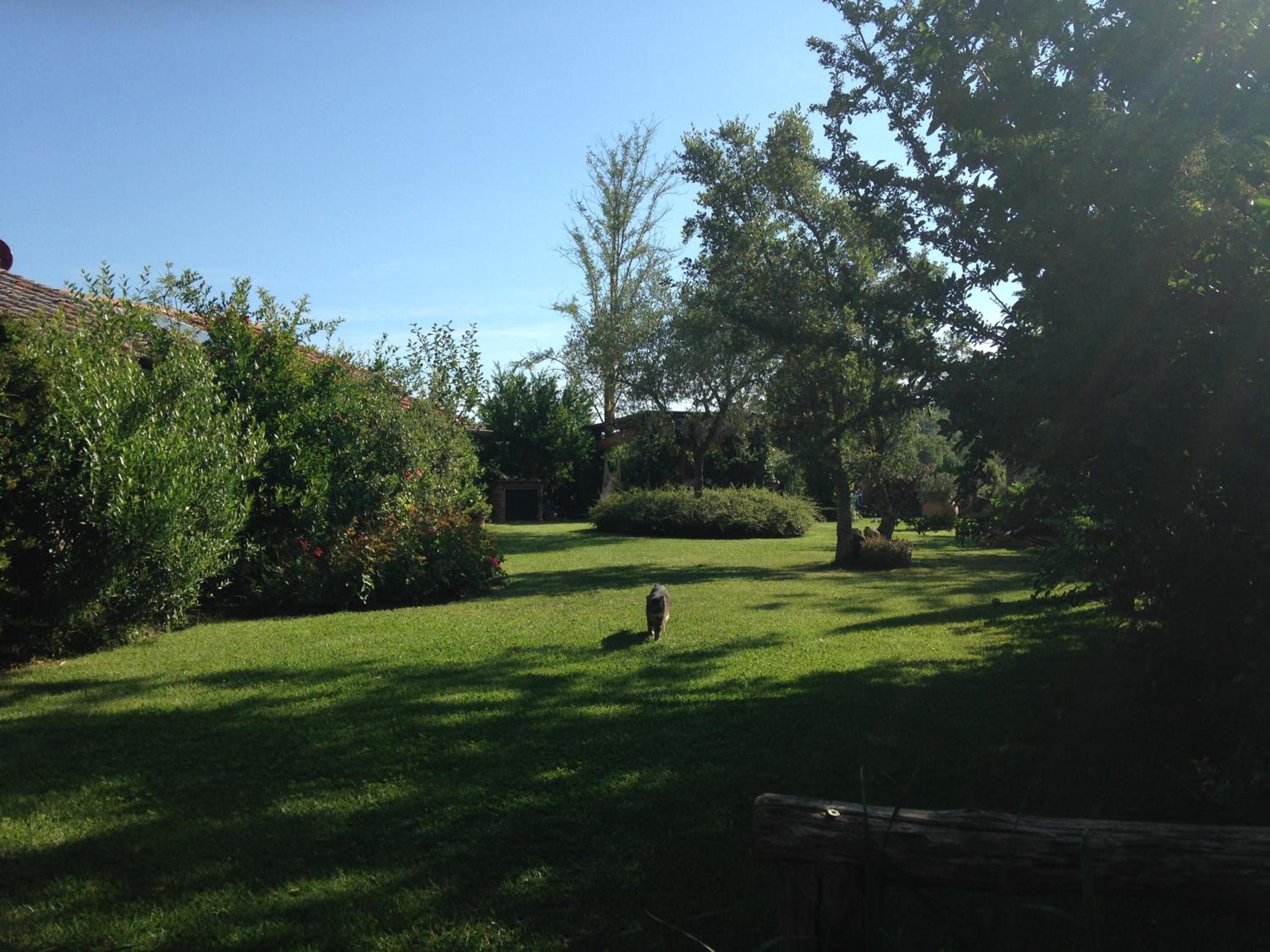 Photo 32