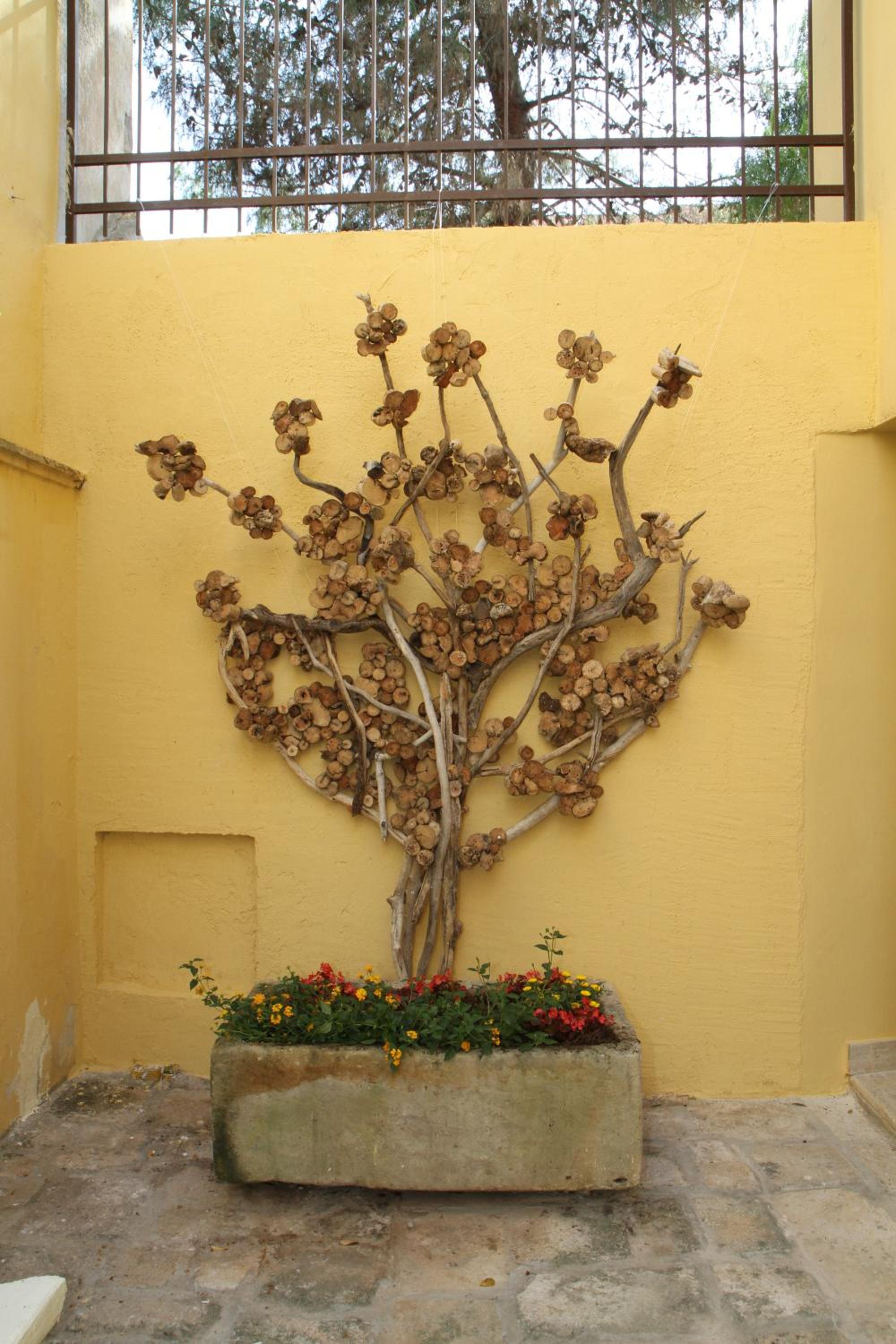 Photo 46