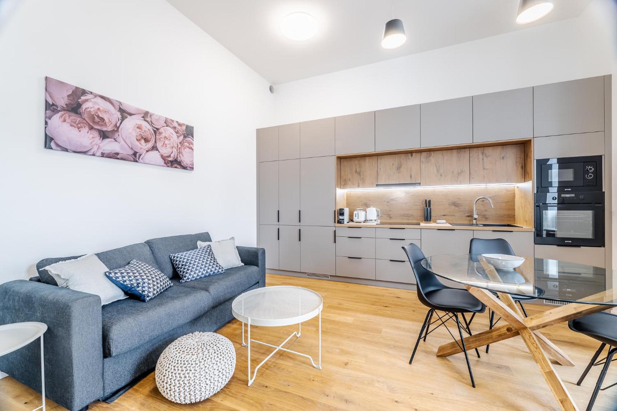 Elegant apartments located in the centre of Prague