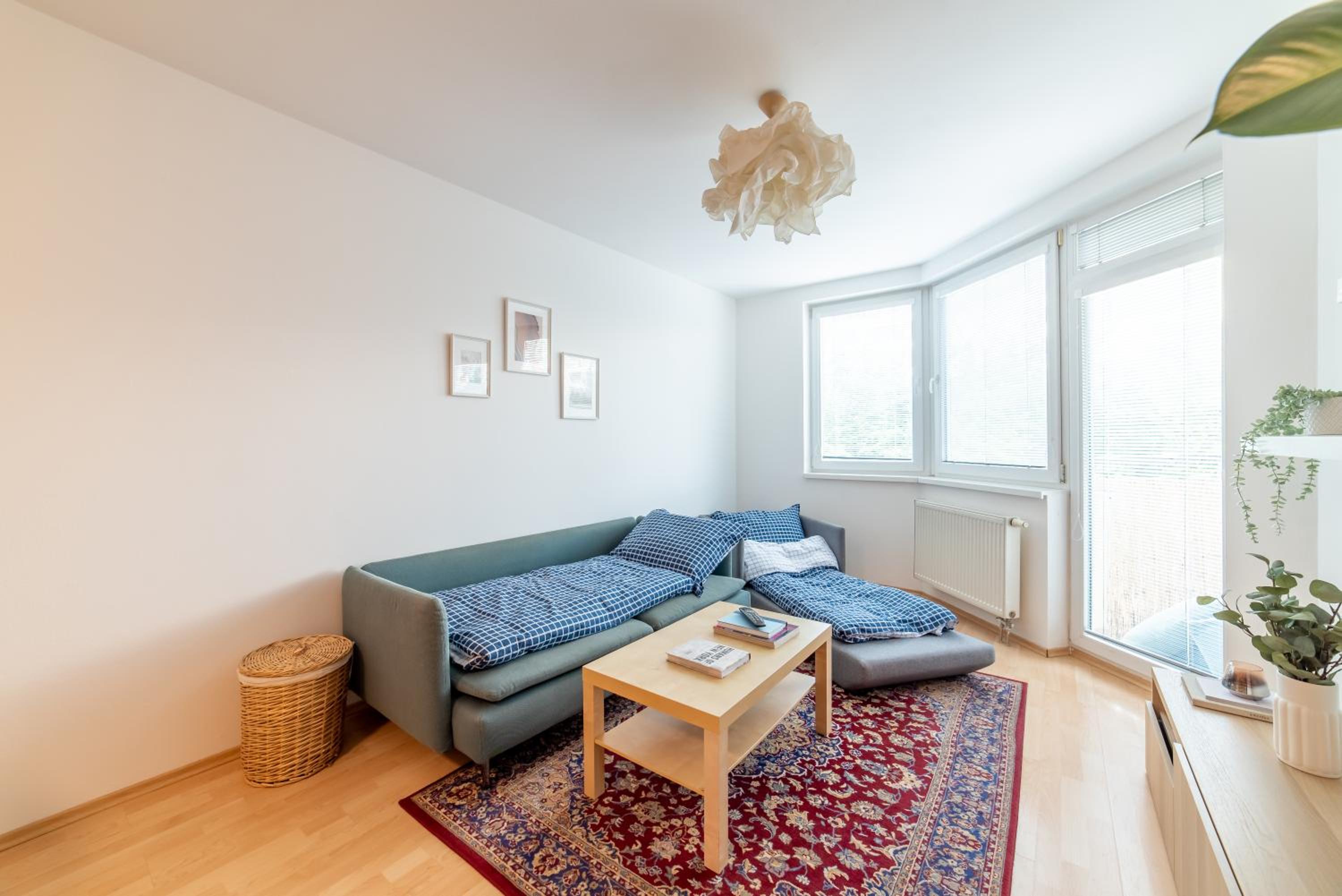 Grape Apartment