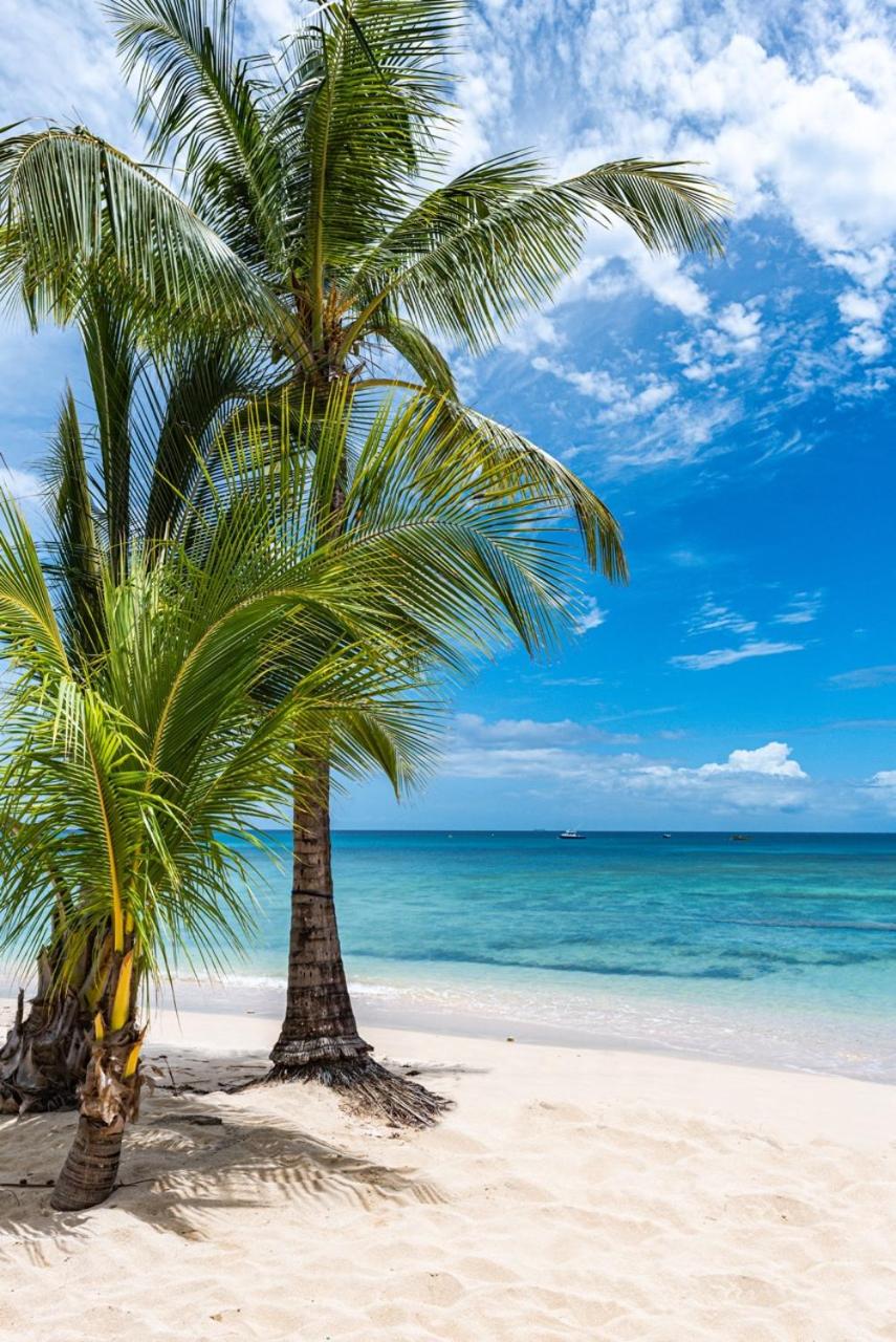 Beach Happy Beachfront Apartment by One Caribbean Estates