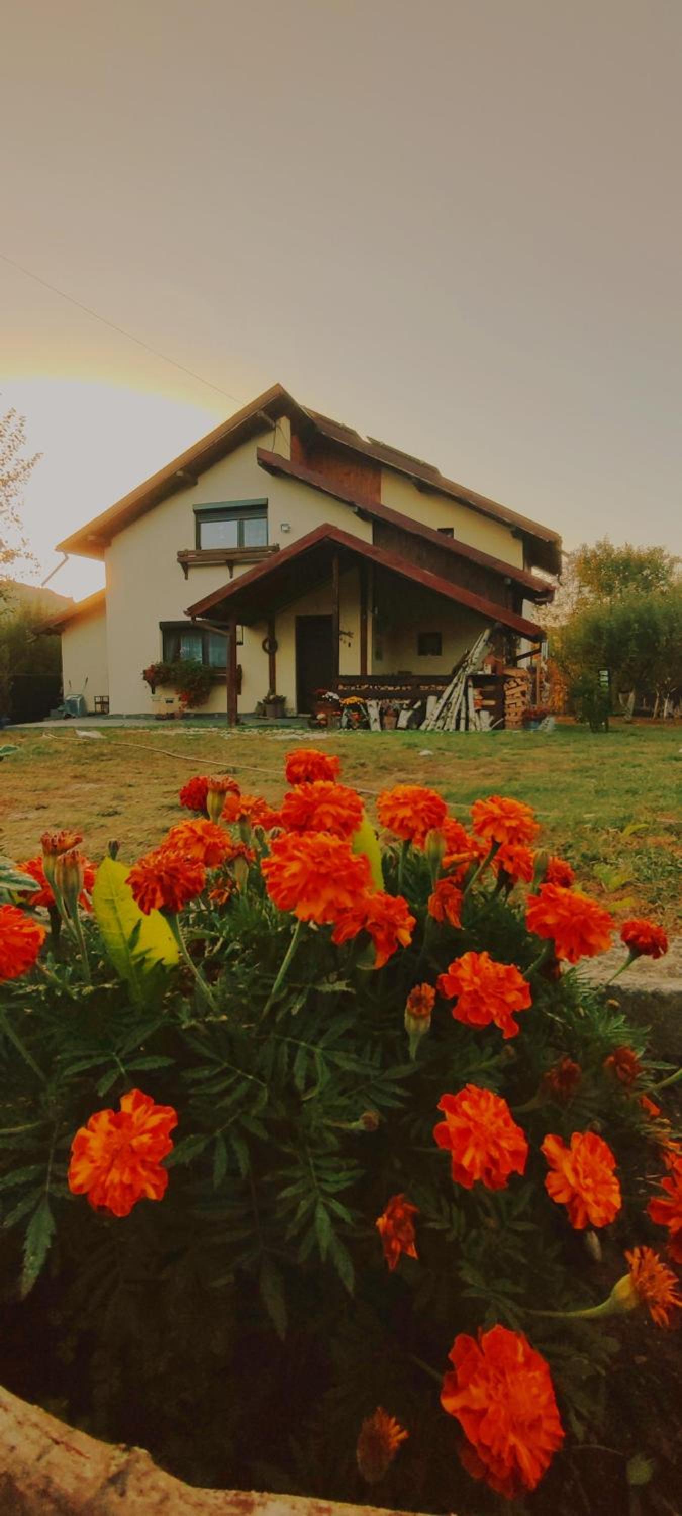 Cottage in traditional village Bradulet, Arges county view 3