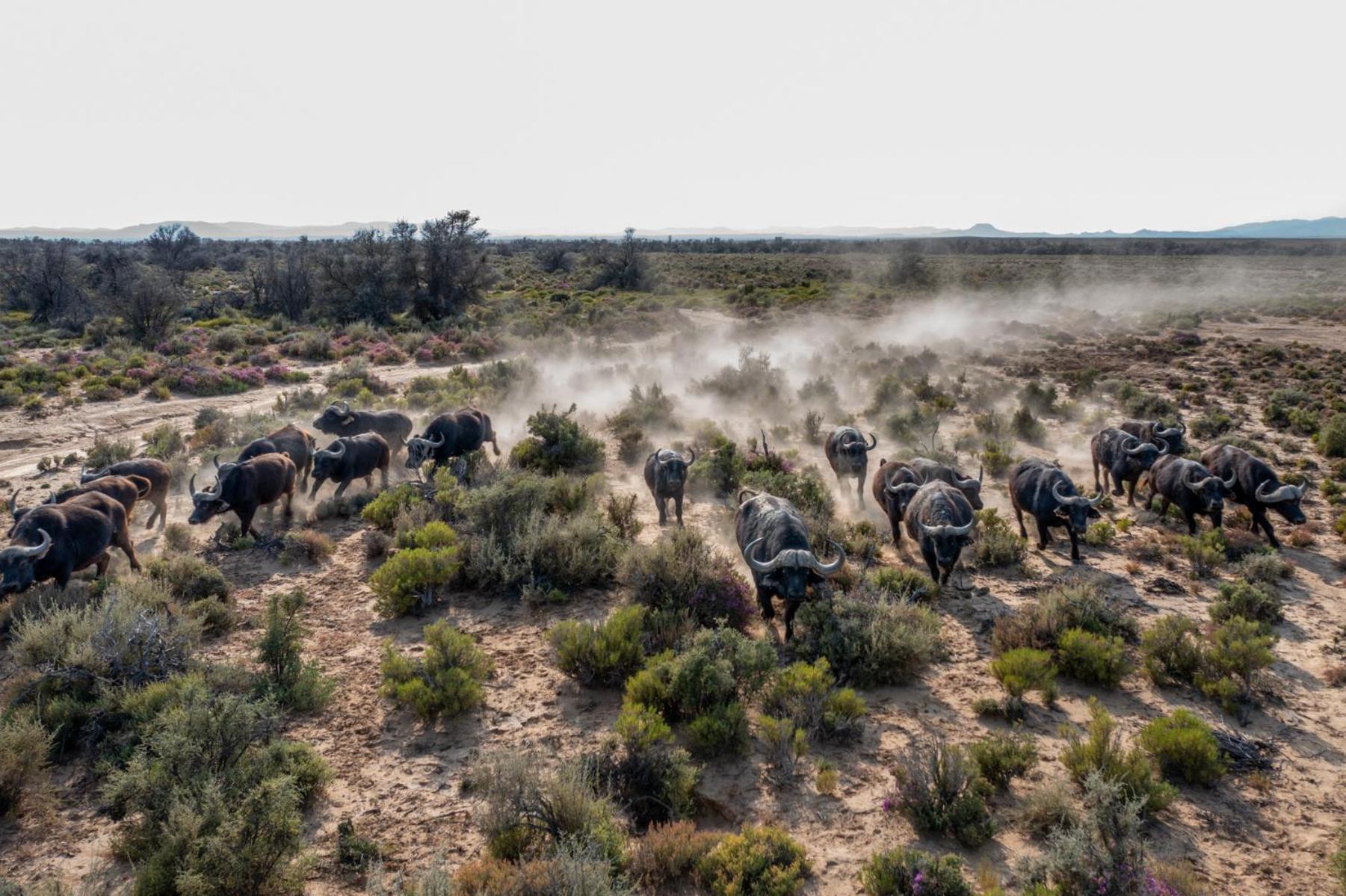 Inverdoorn Game Reserve Lodge view 4