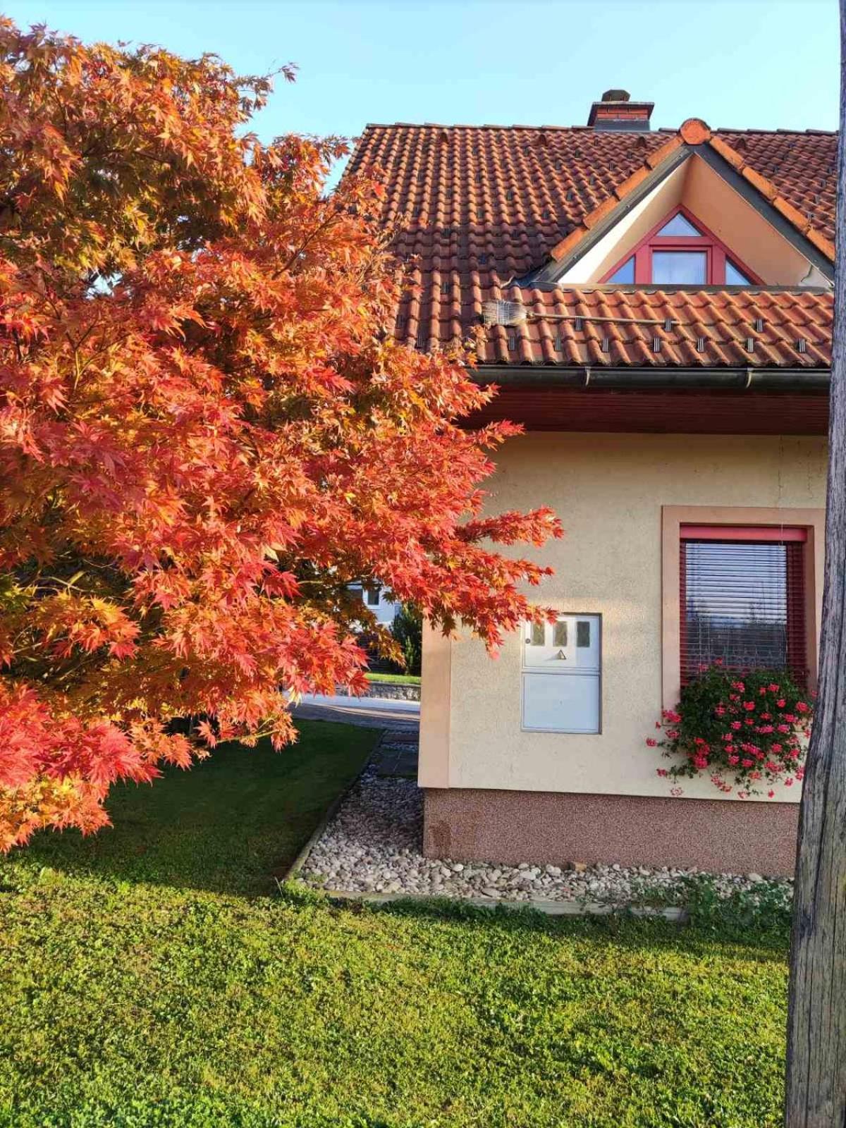 Apartma Ob Krki view 3