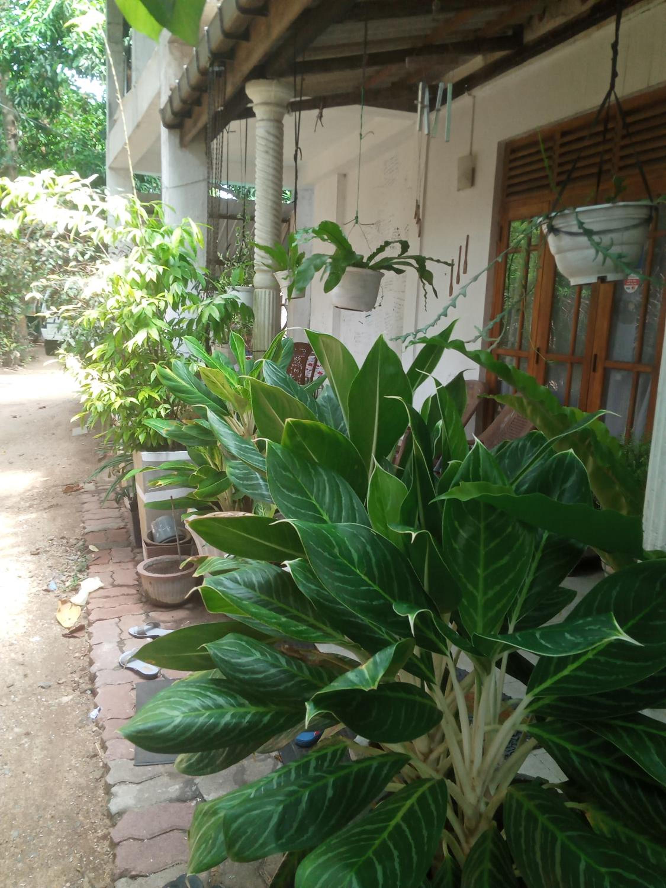 Oshee Home