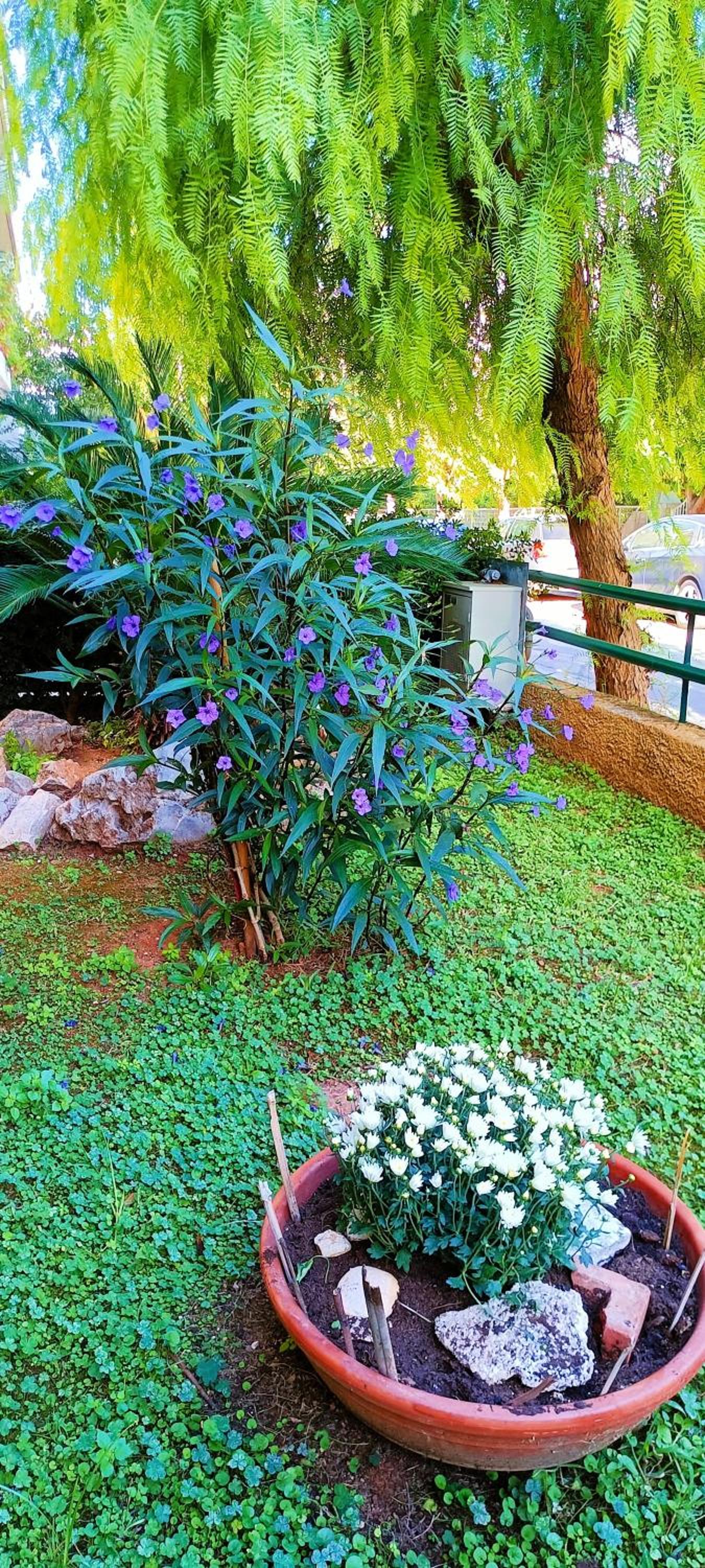 Marousi Residence with Garden