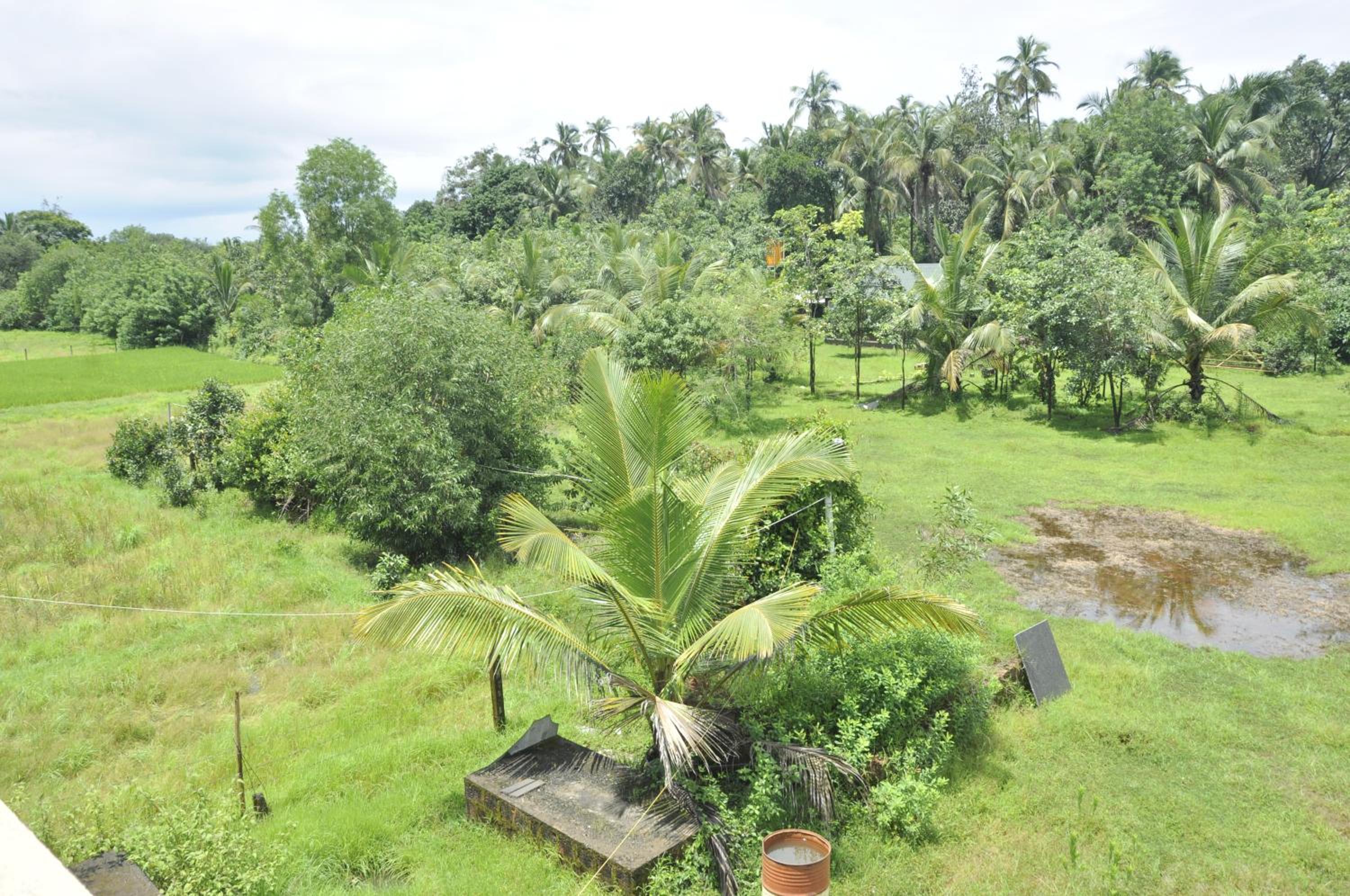 Backwaters Retreat