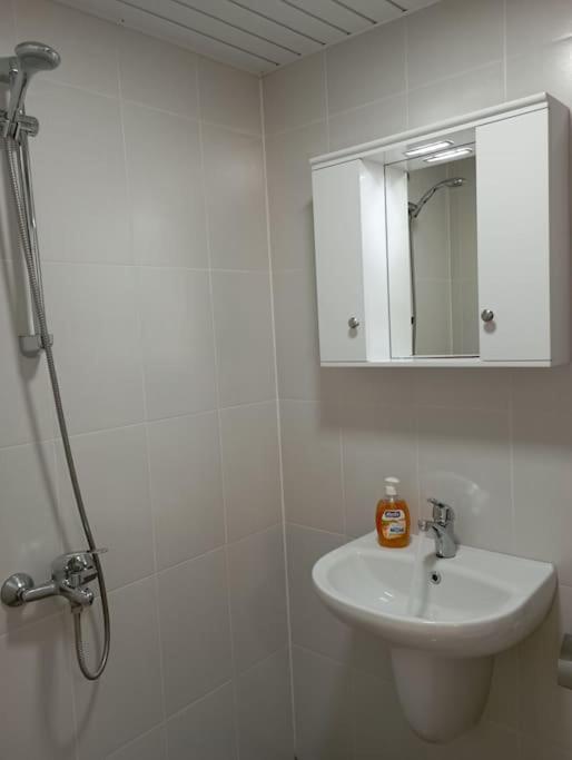 Gradina Apartment