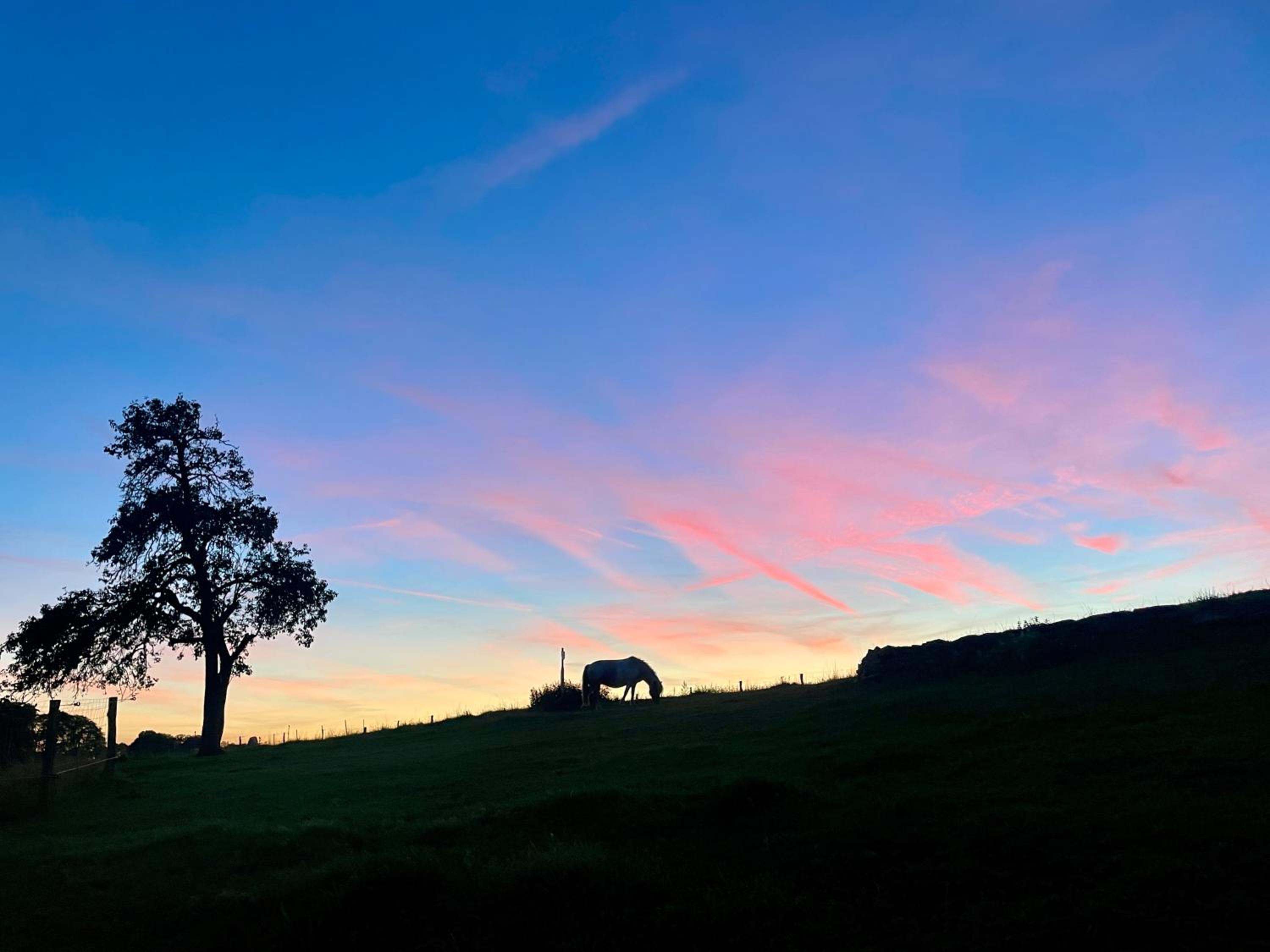 Auszeit Altenhorst, Gartenferienwohnung