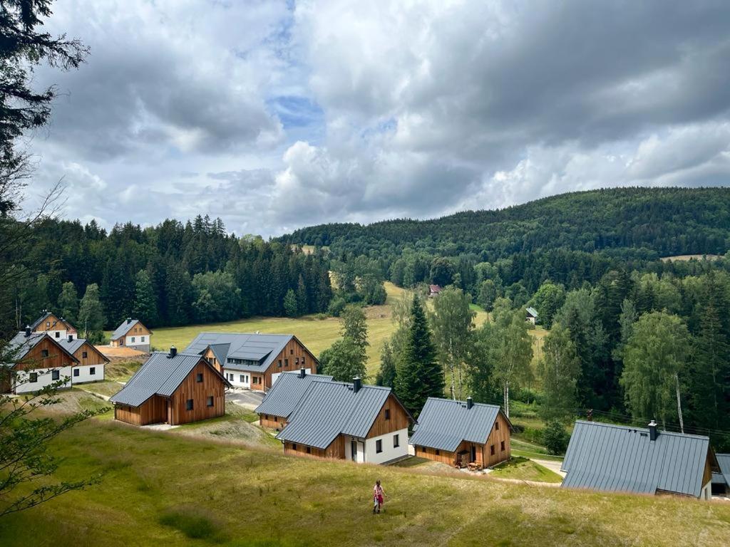 Apartmán SIX v Resortu pod Špičákem