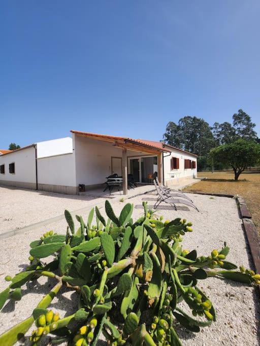 Quinta das Camarinhas view 4