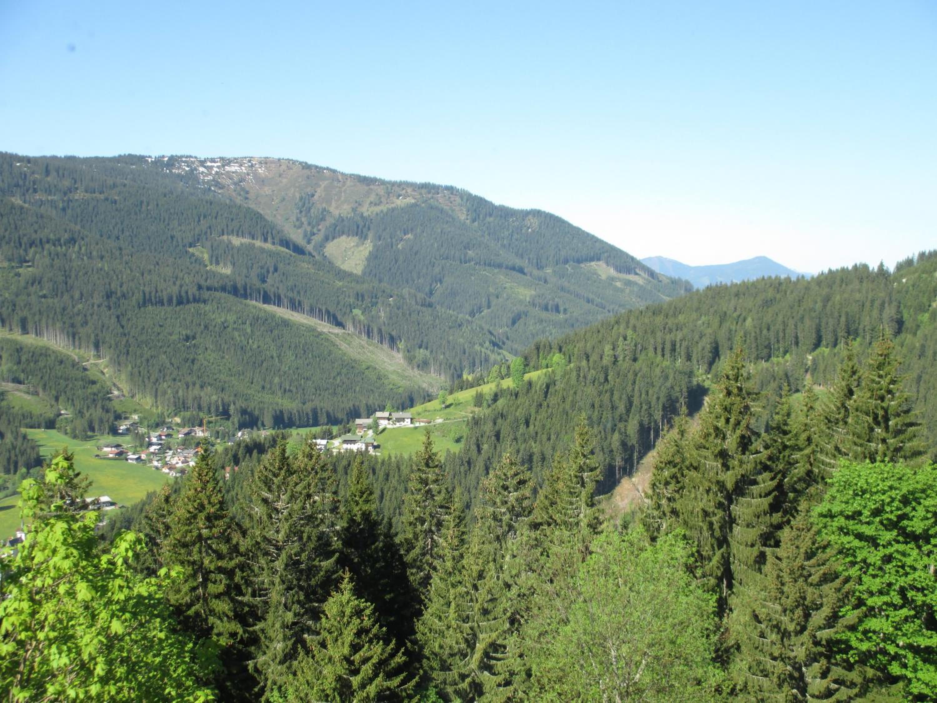 Photo 30