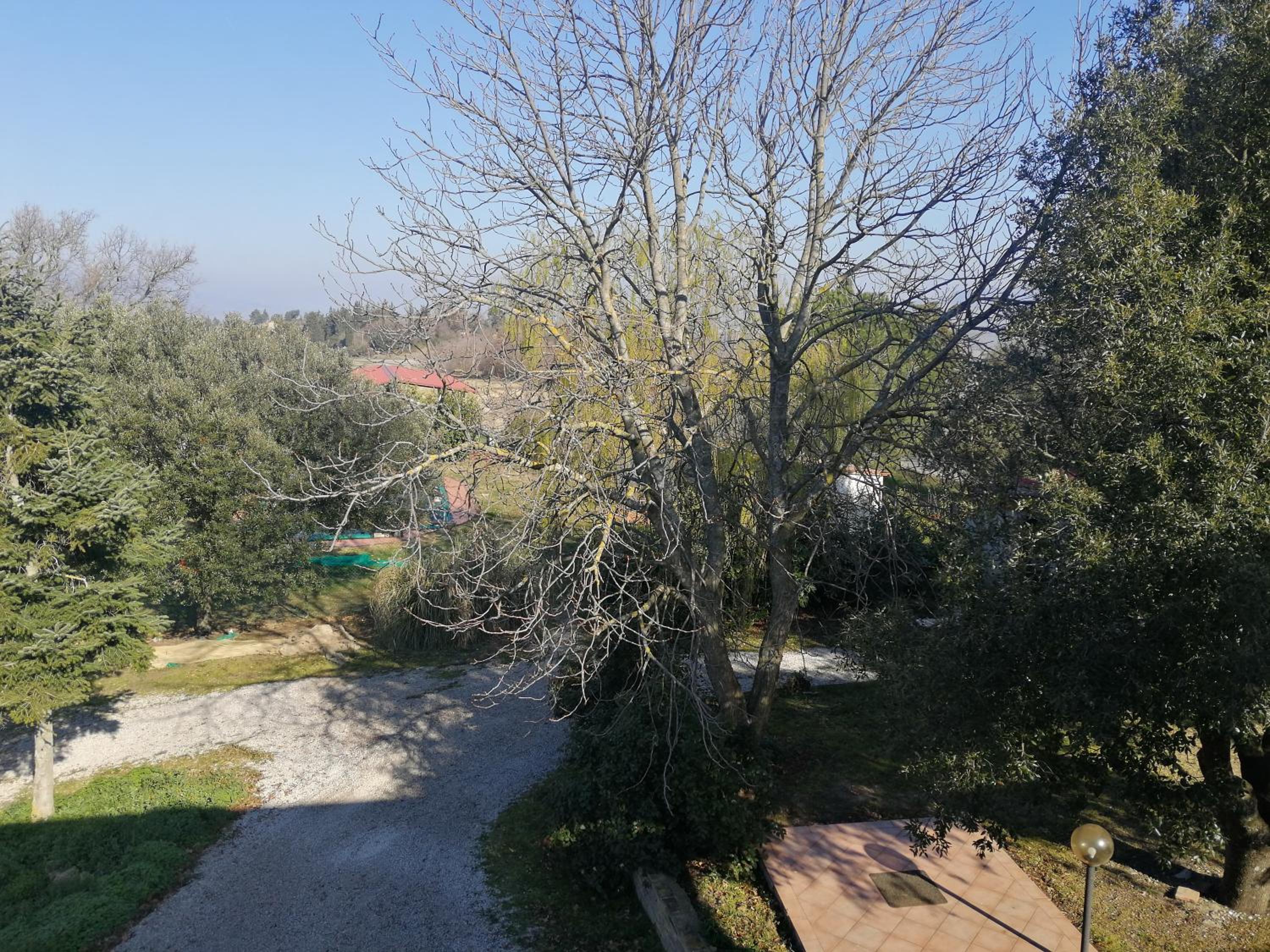 Photo 28