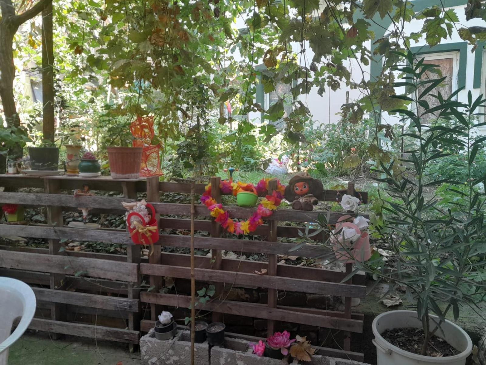 Photo 19