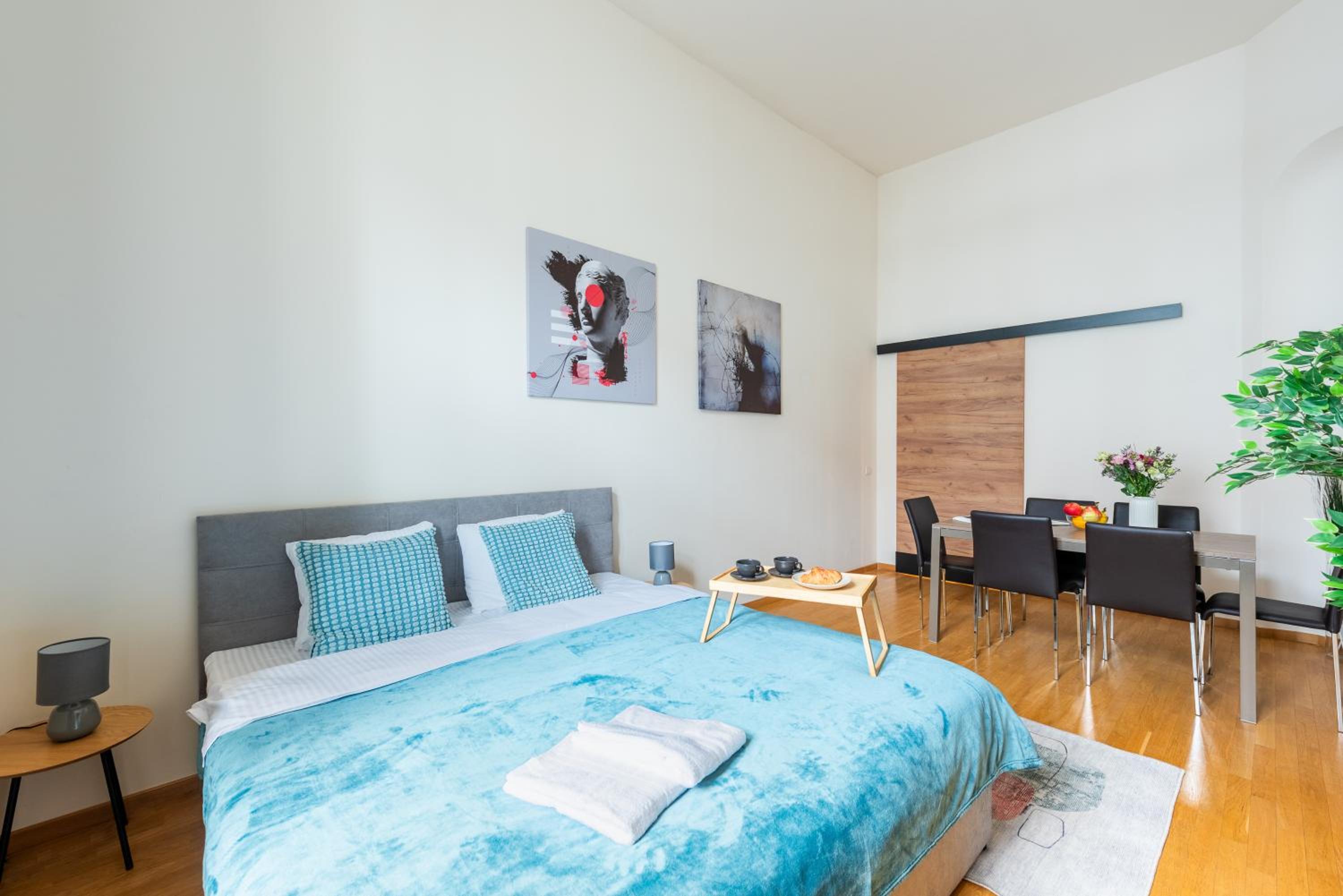 Spacious 3-bedrooms apartment near Karlin Square