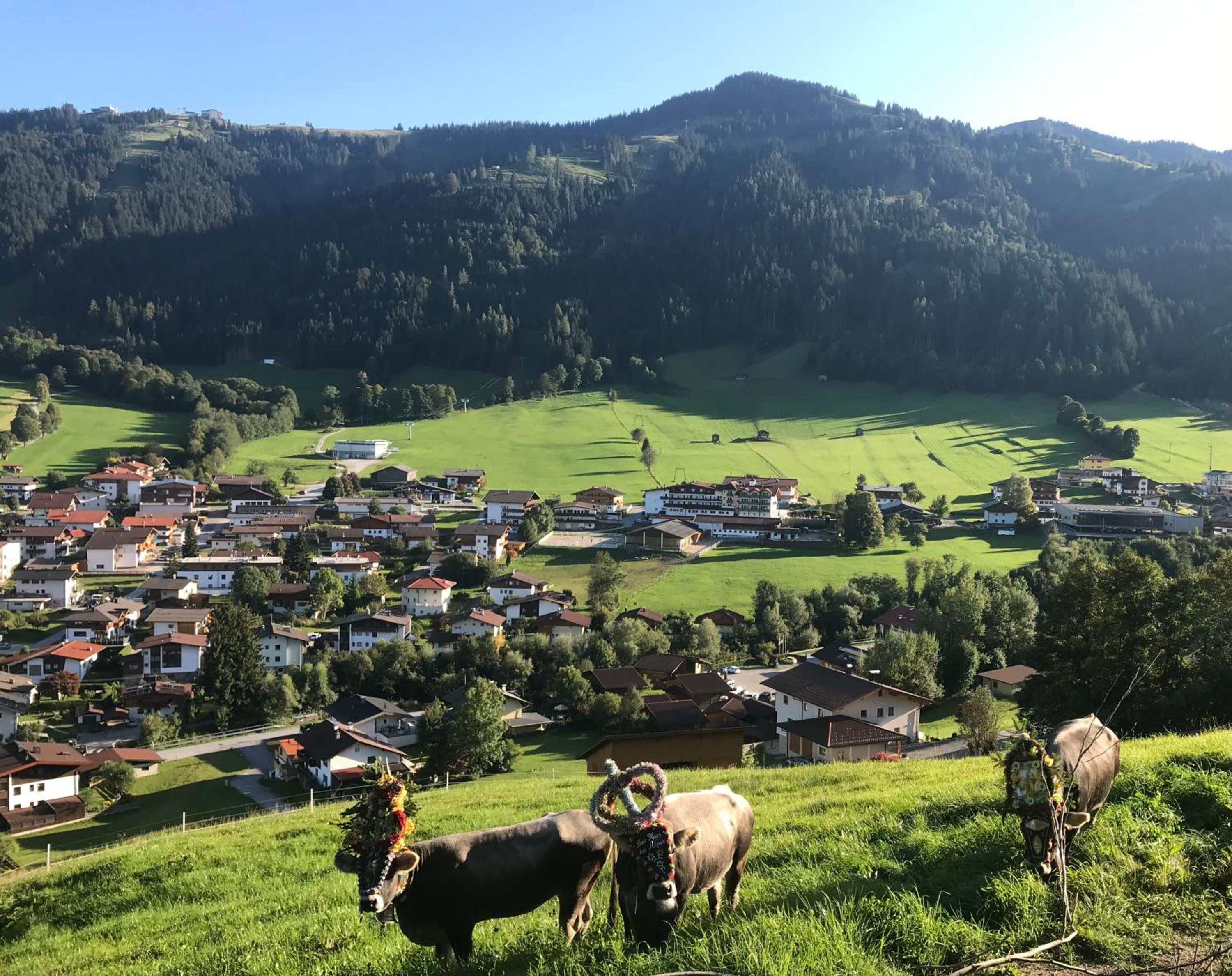 *Panorama Chalet Sonnberg* Gartensauna Balkon Dachterrasse