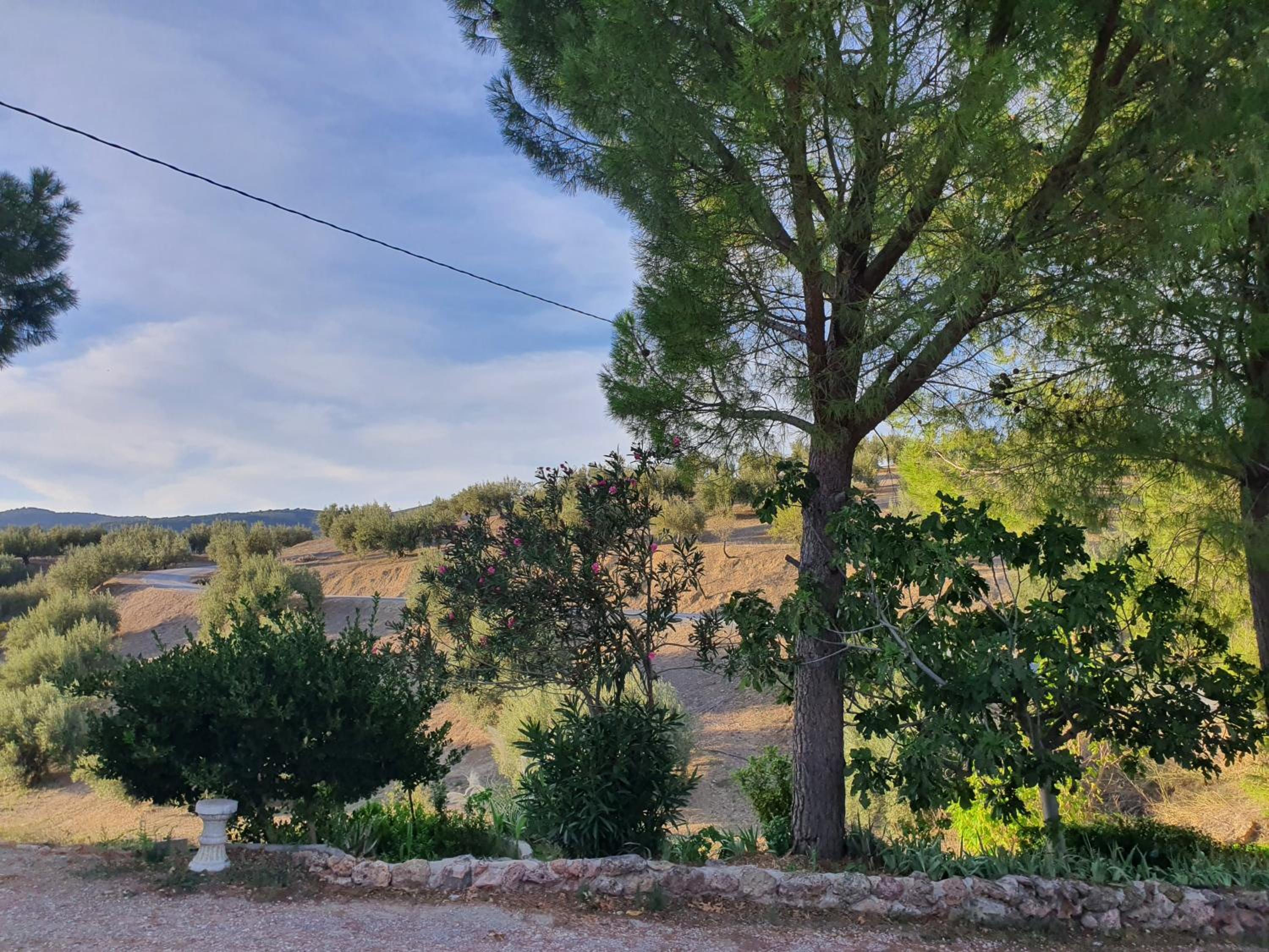 Cortijo Rural El Salado