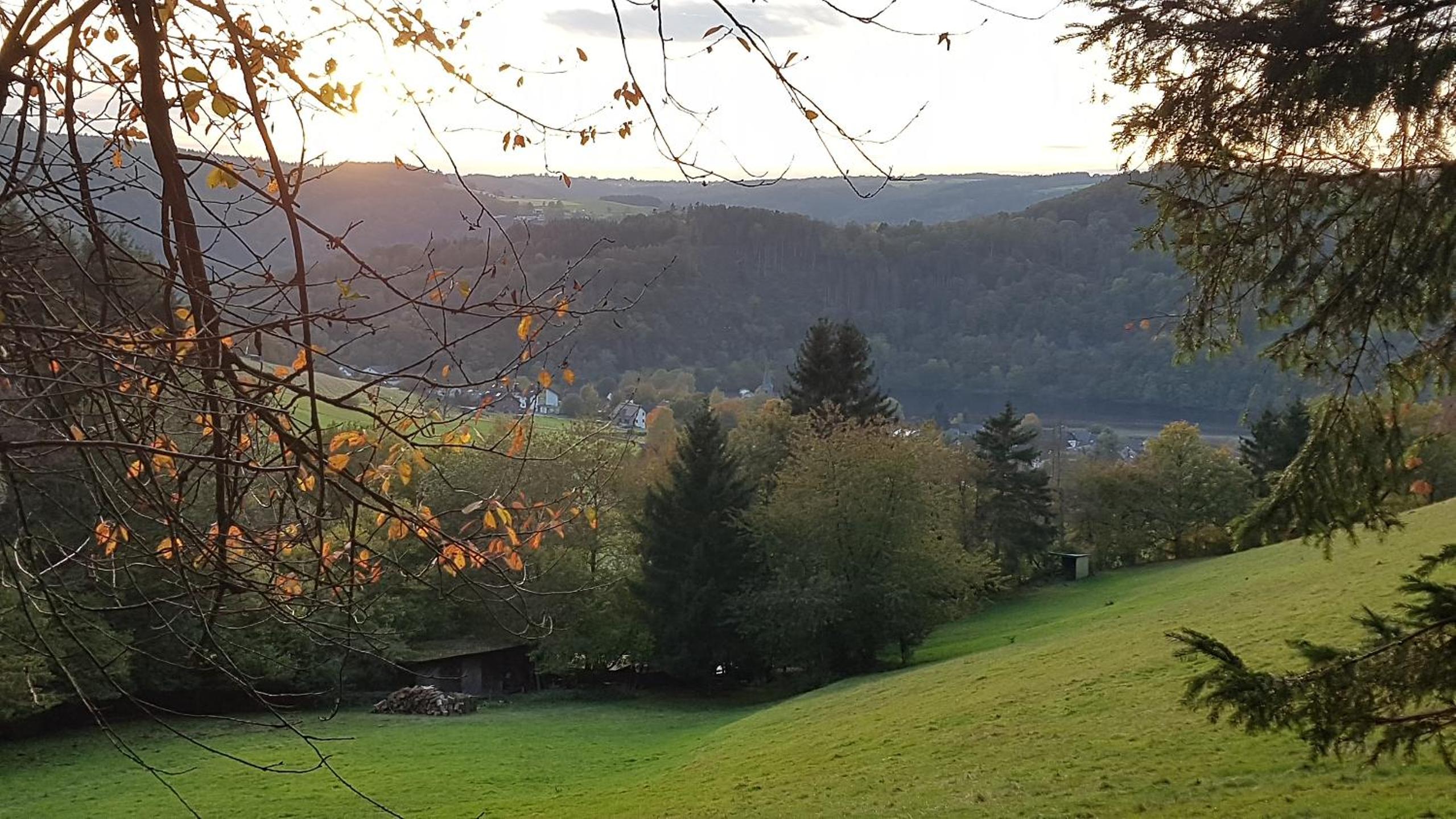 VivaNatura EifelferienStudio
