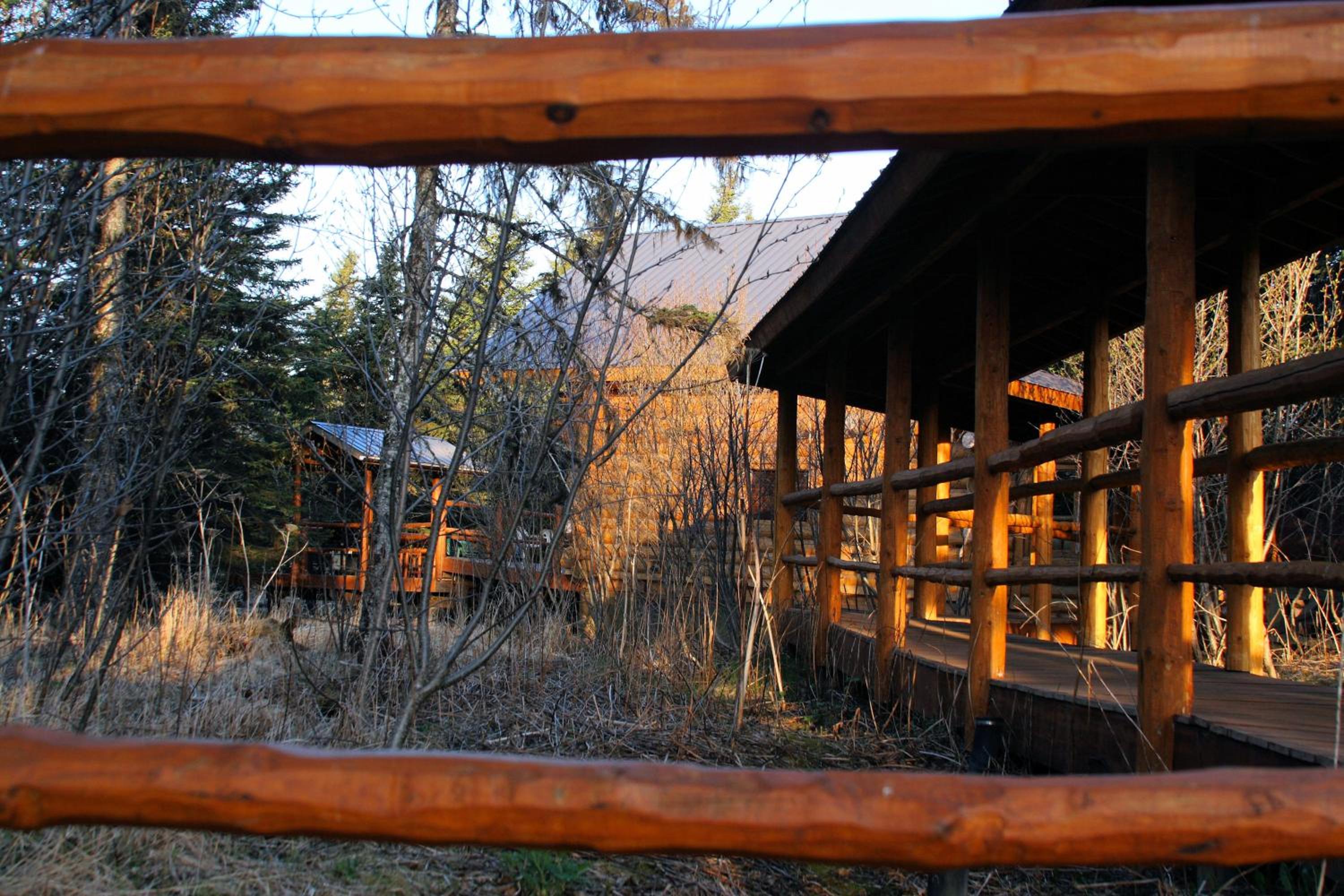 Wise Old Hunter Lodge - Property Image 31