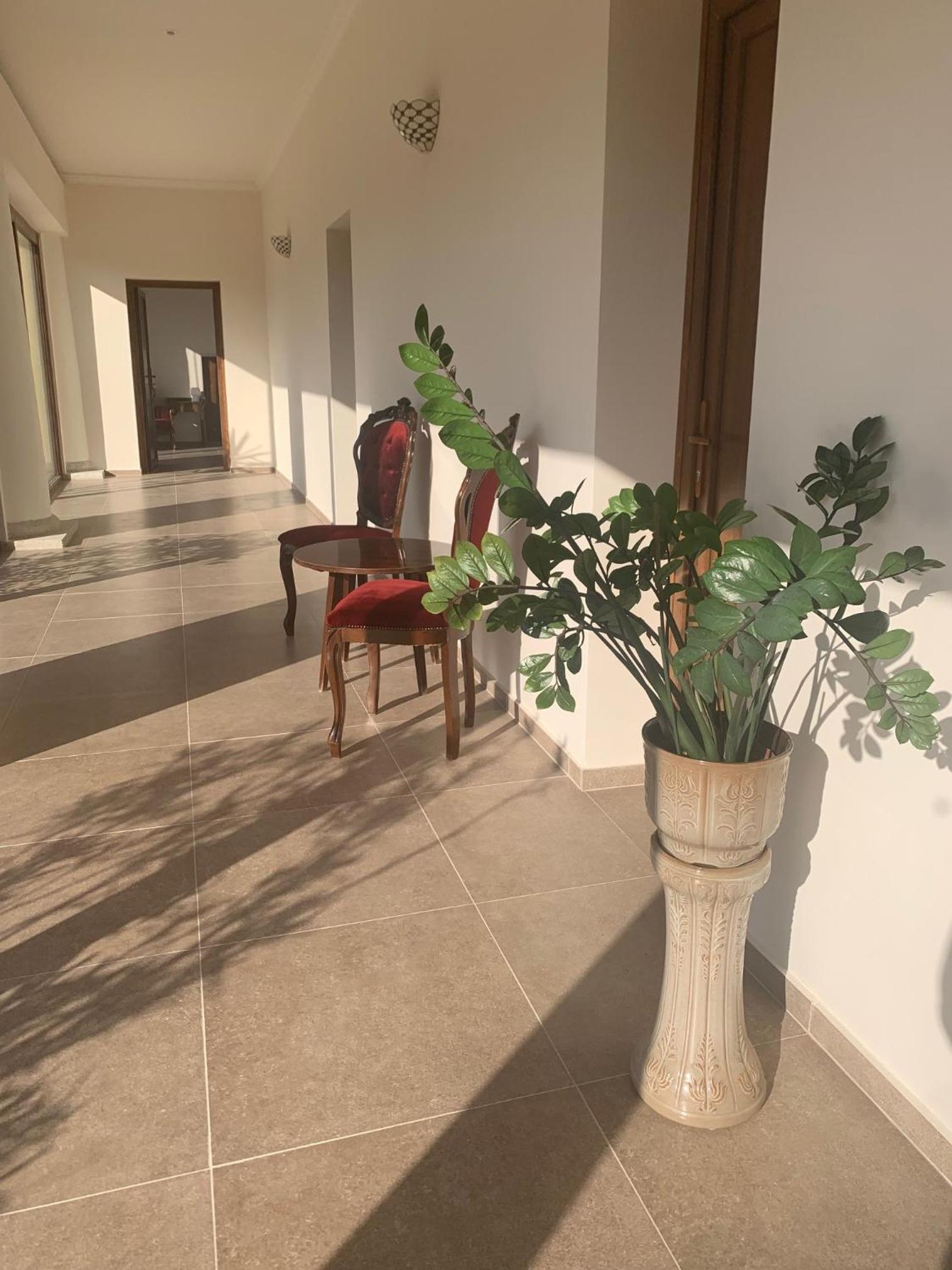 Vitál Guesthouse