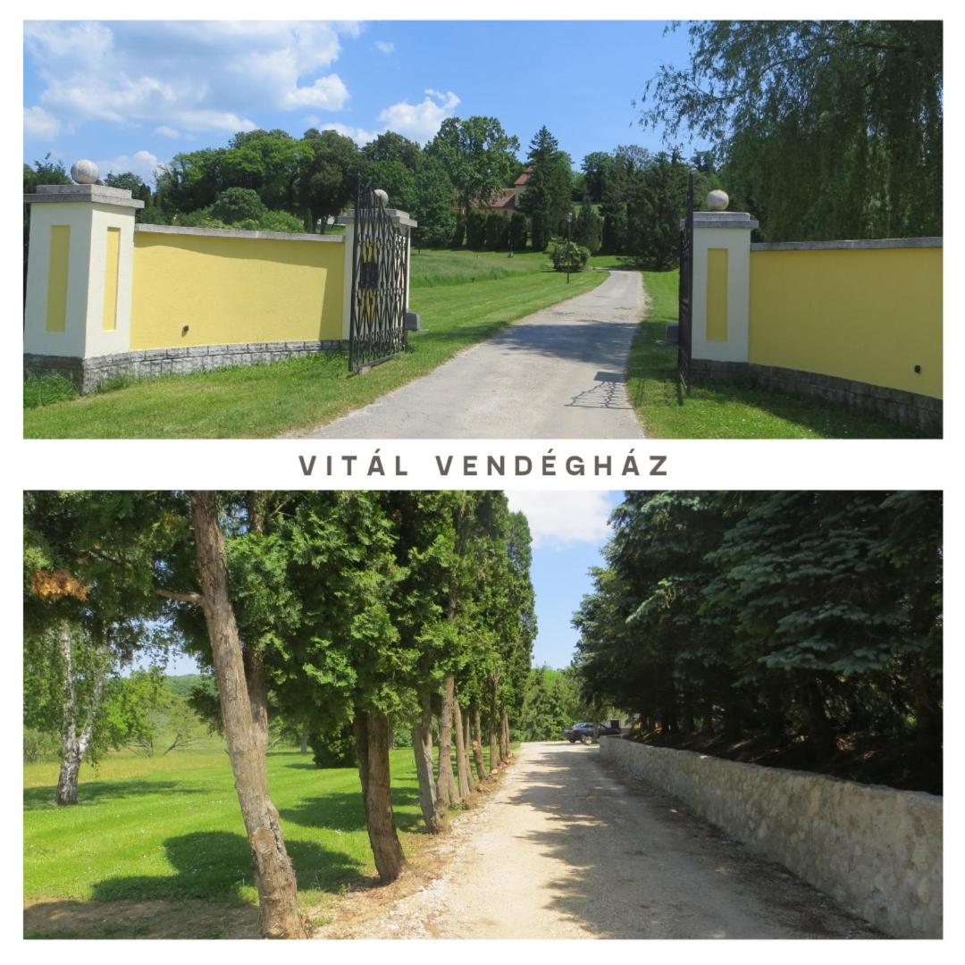 Vitál Guesthouse