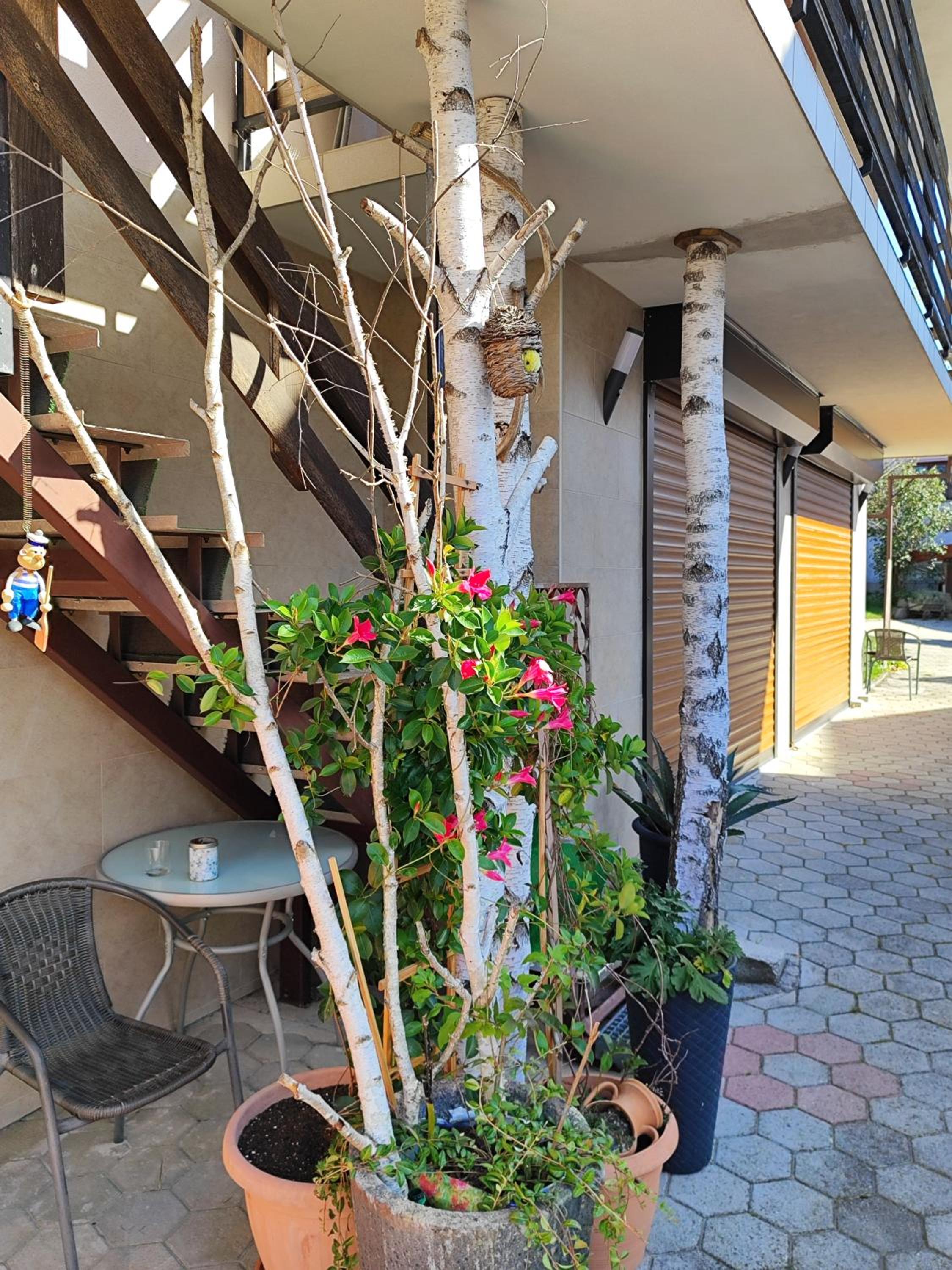 Apartma Marija