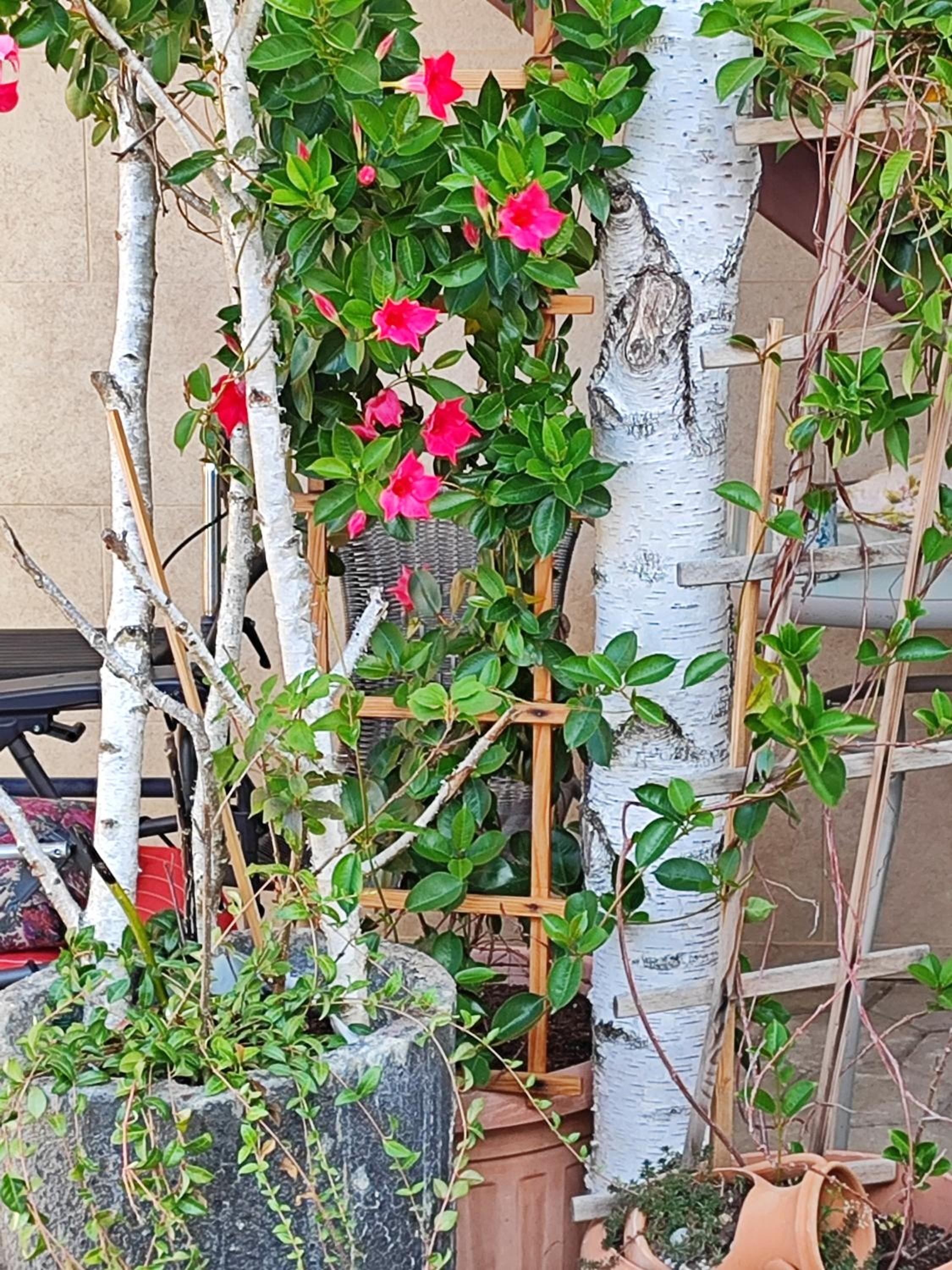 Apartma Marija