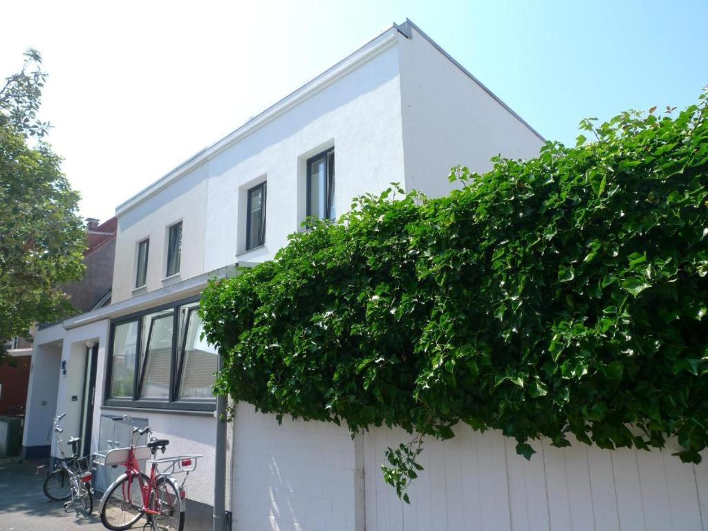 Haus