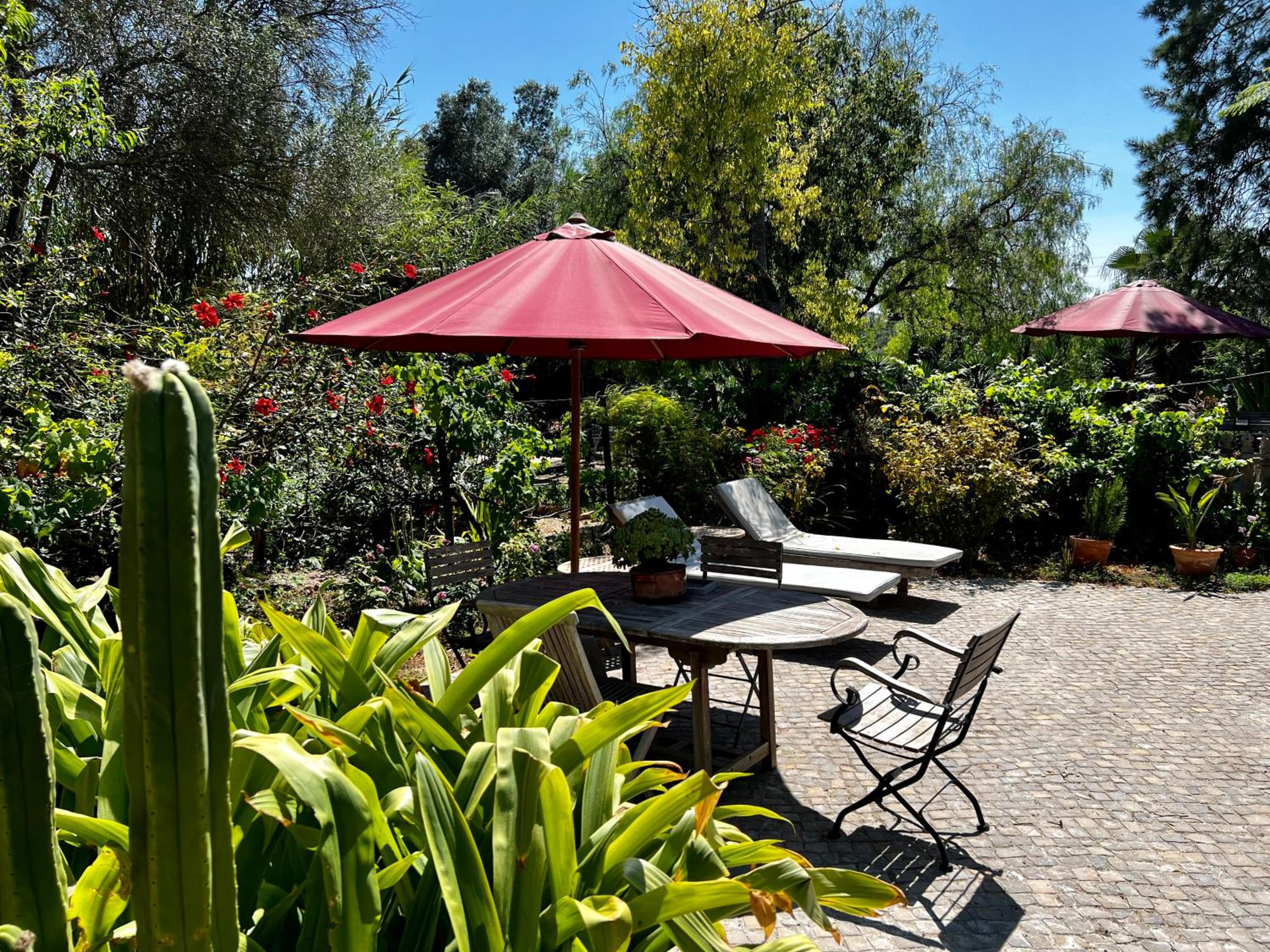 Casa Stardust & cottages view 4
