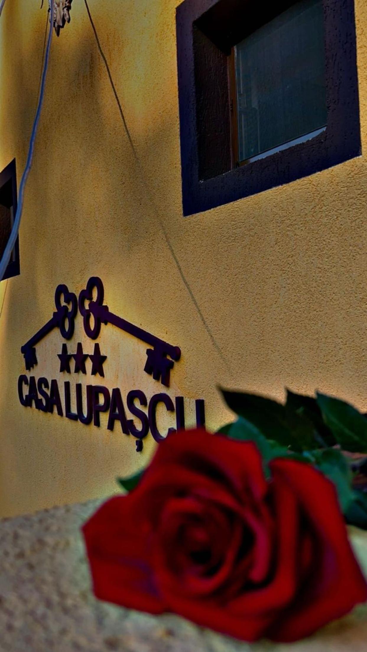 Casa Lupascu view 4