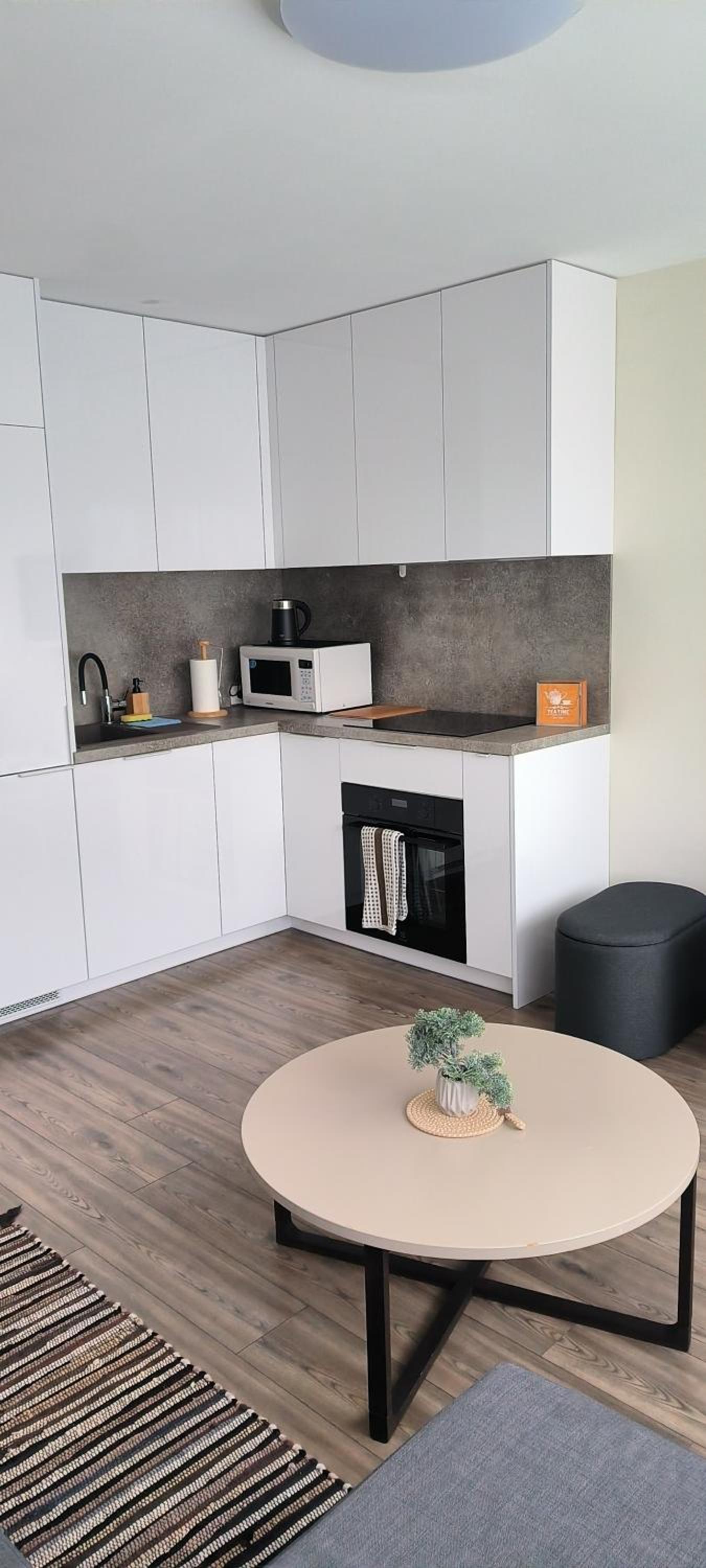 Klaipeda Old Town Studio Apartment view 4