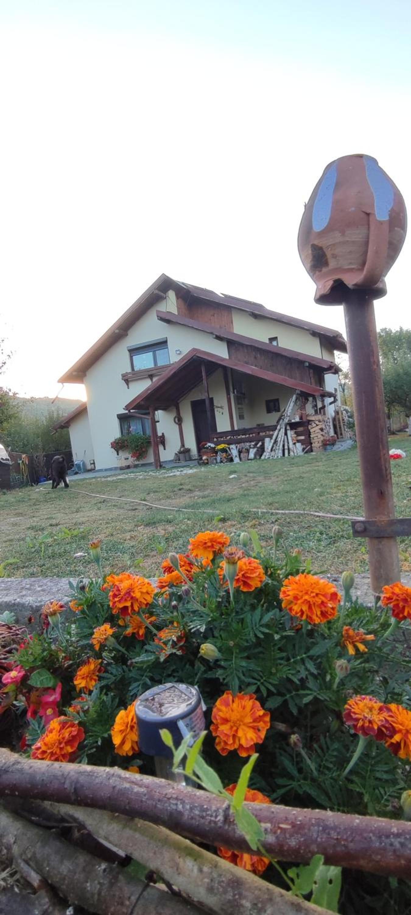 Photo 49