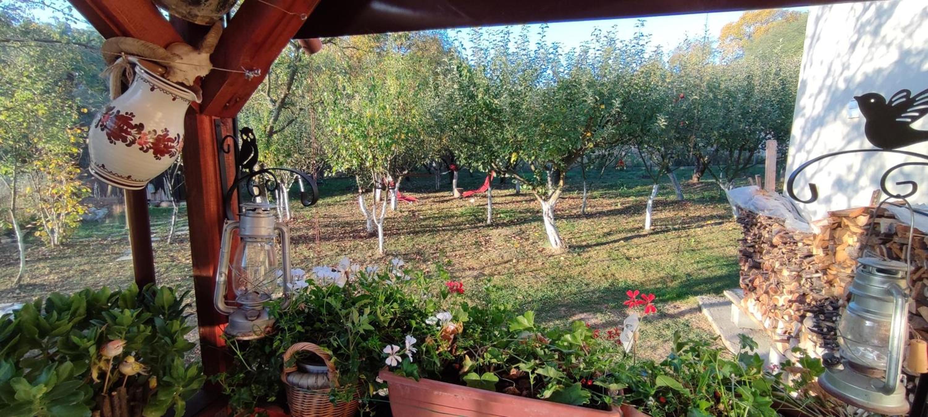 Photo 51