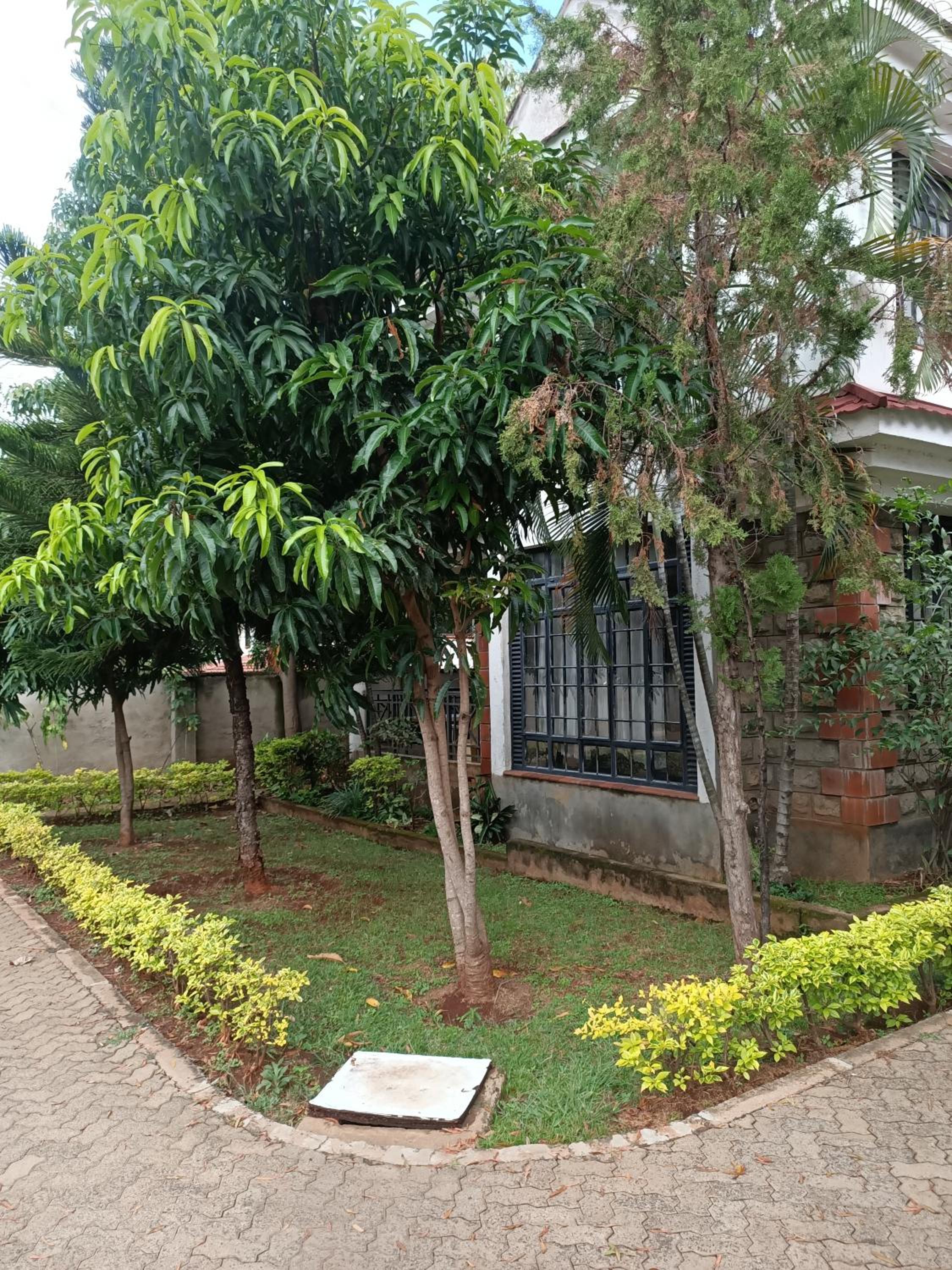 Amigo apartments