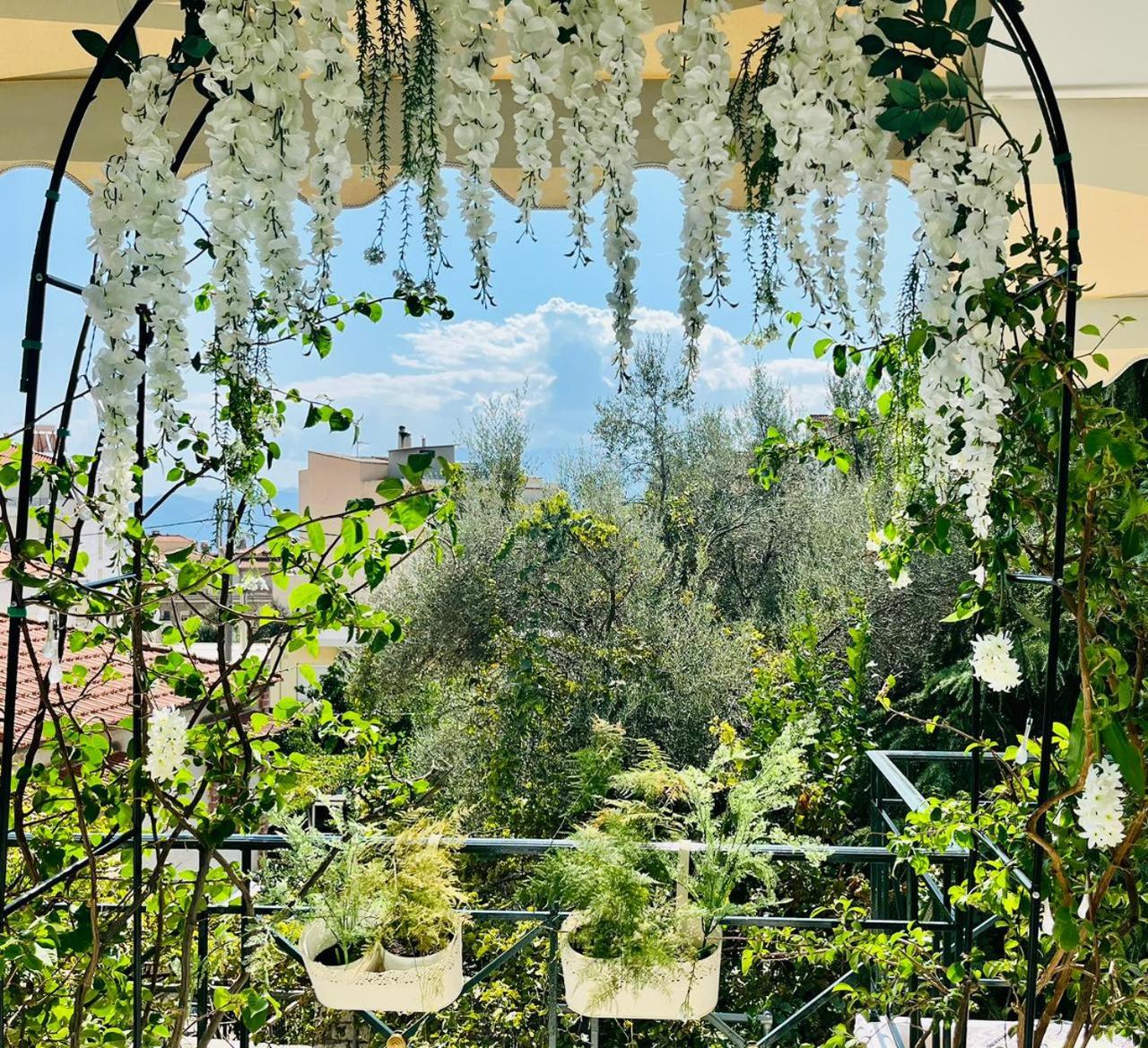 Wisteria