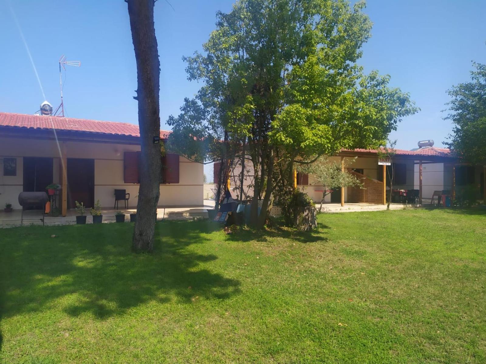 Vila 7 Divjake photo 2