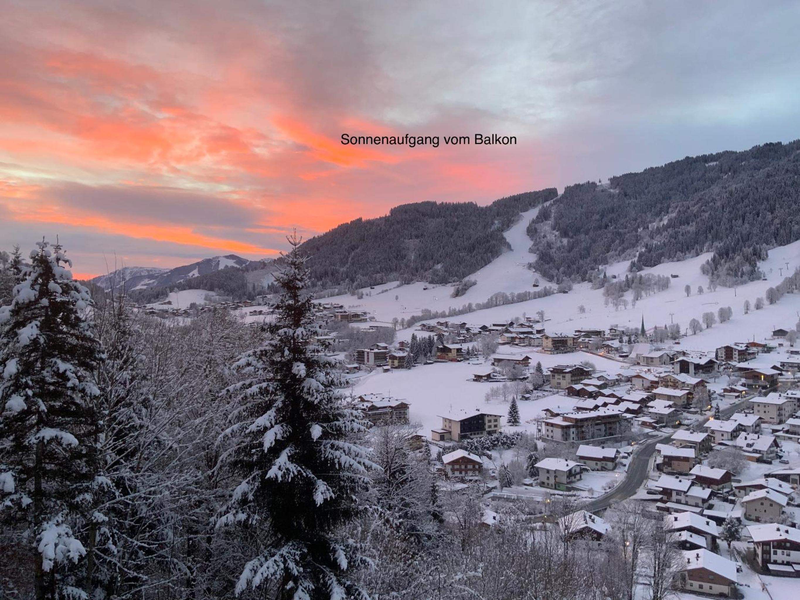 *Panorama Chalet Sonnberg* Gartensauna Balkon Dachterrasse