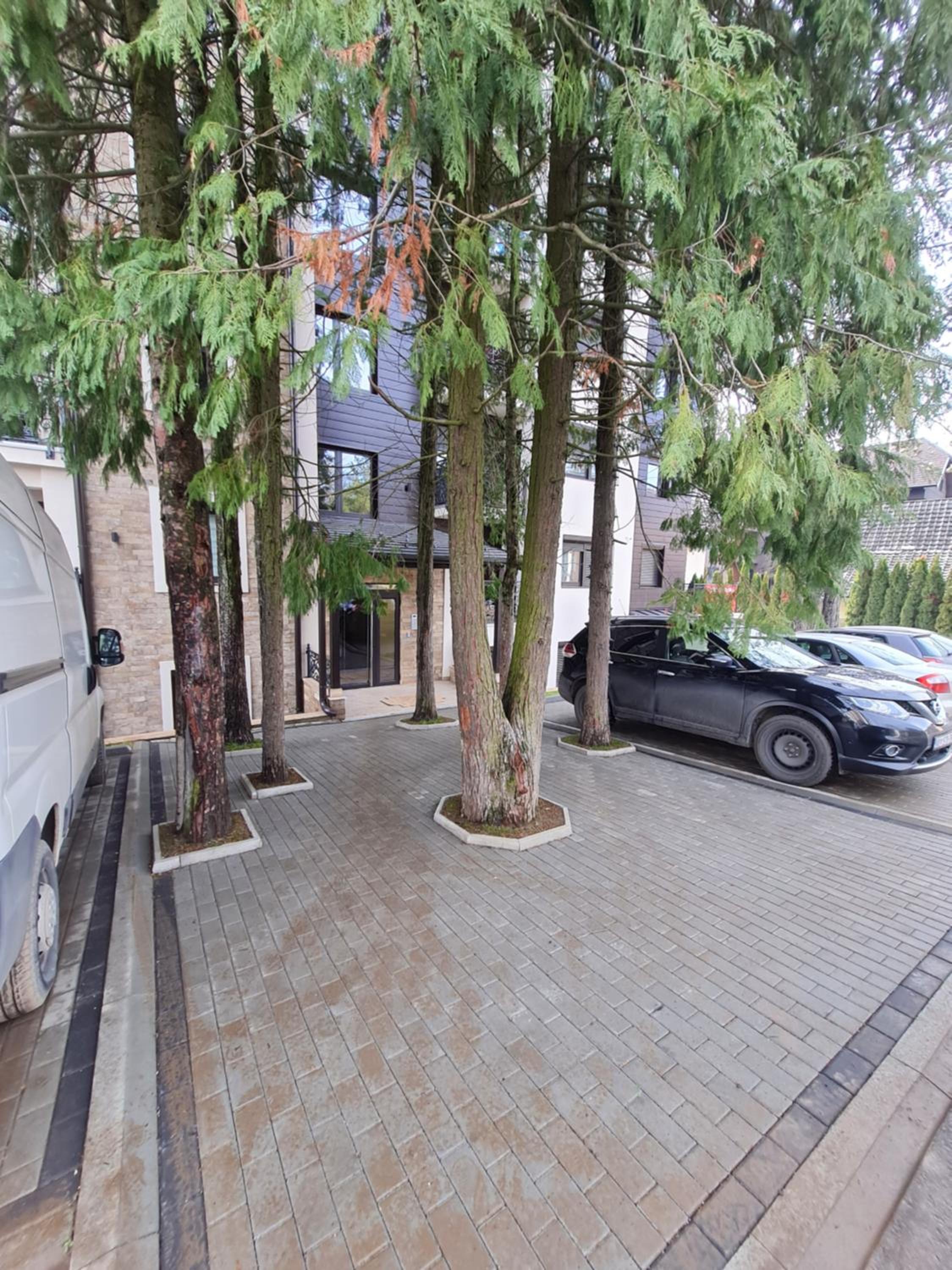 Apartman Dabic