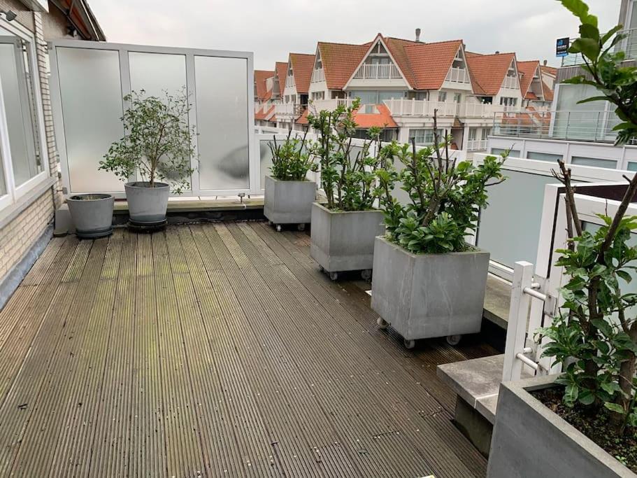 Zoute penthouse (near place Albert)