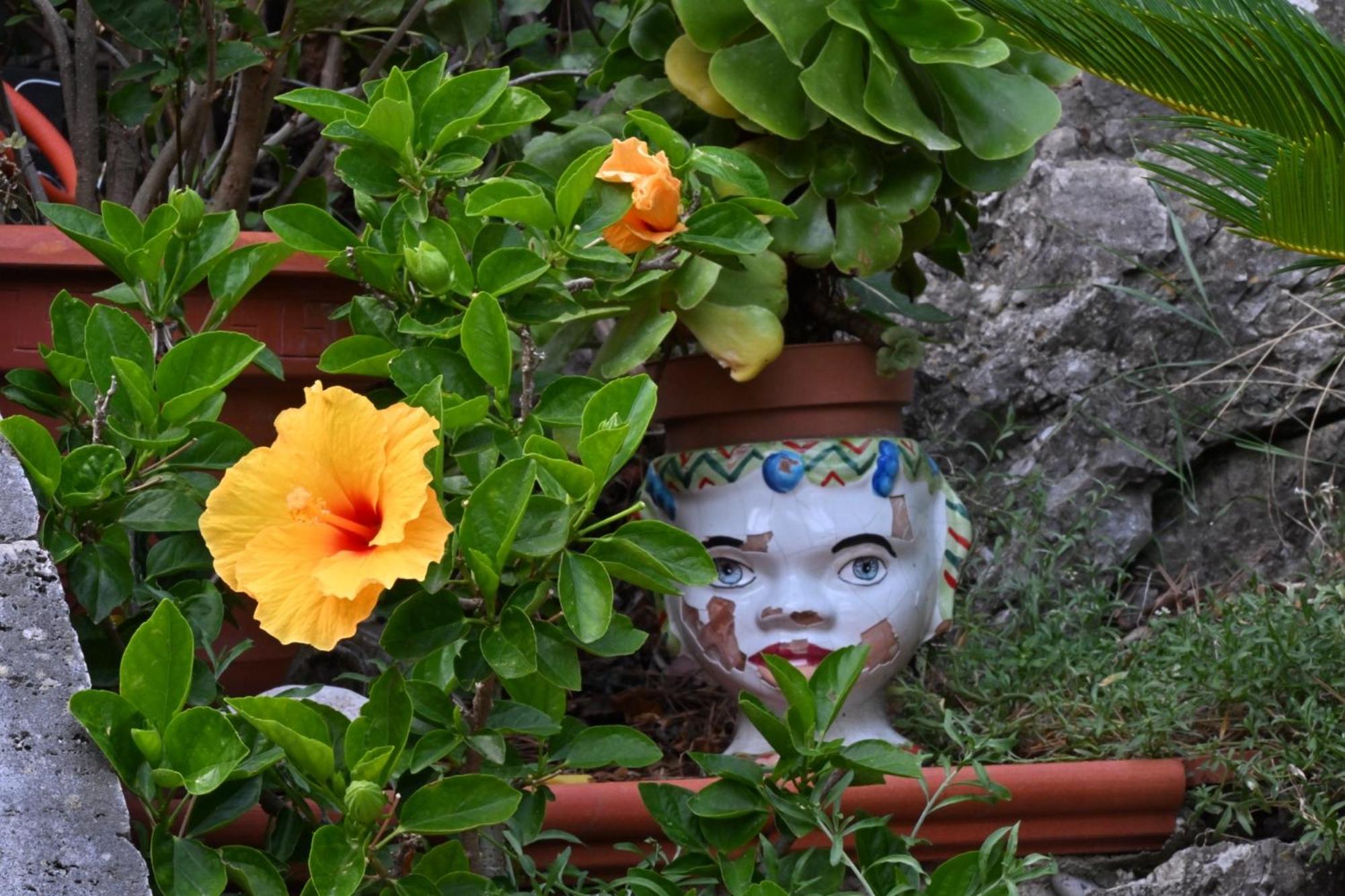 Casa Vacanze Bouganvillea