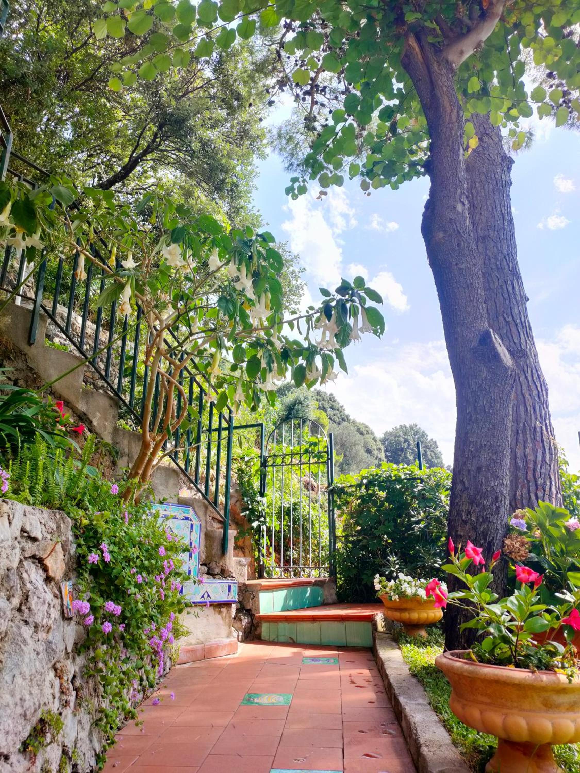 Casa Vacanze Bouganvillea
