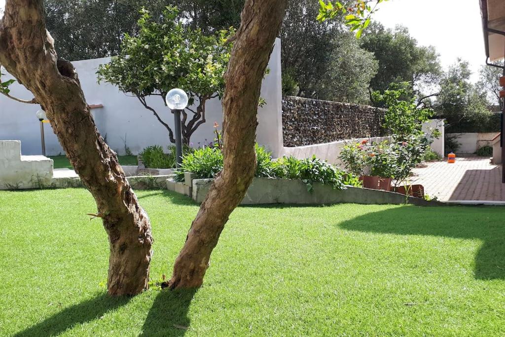 holiday home photo 4