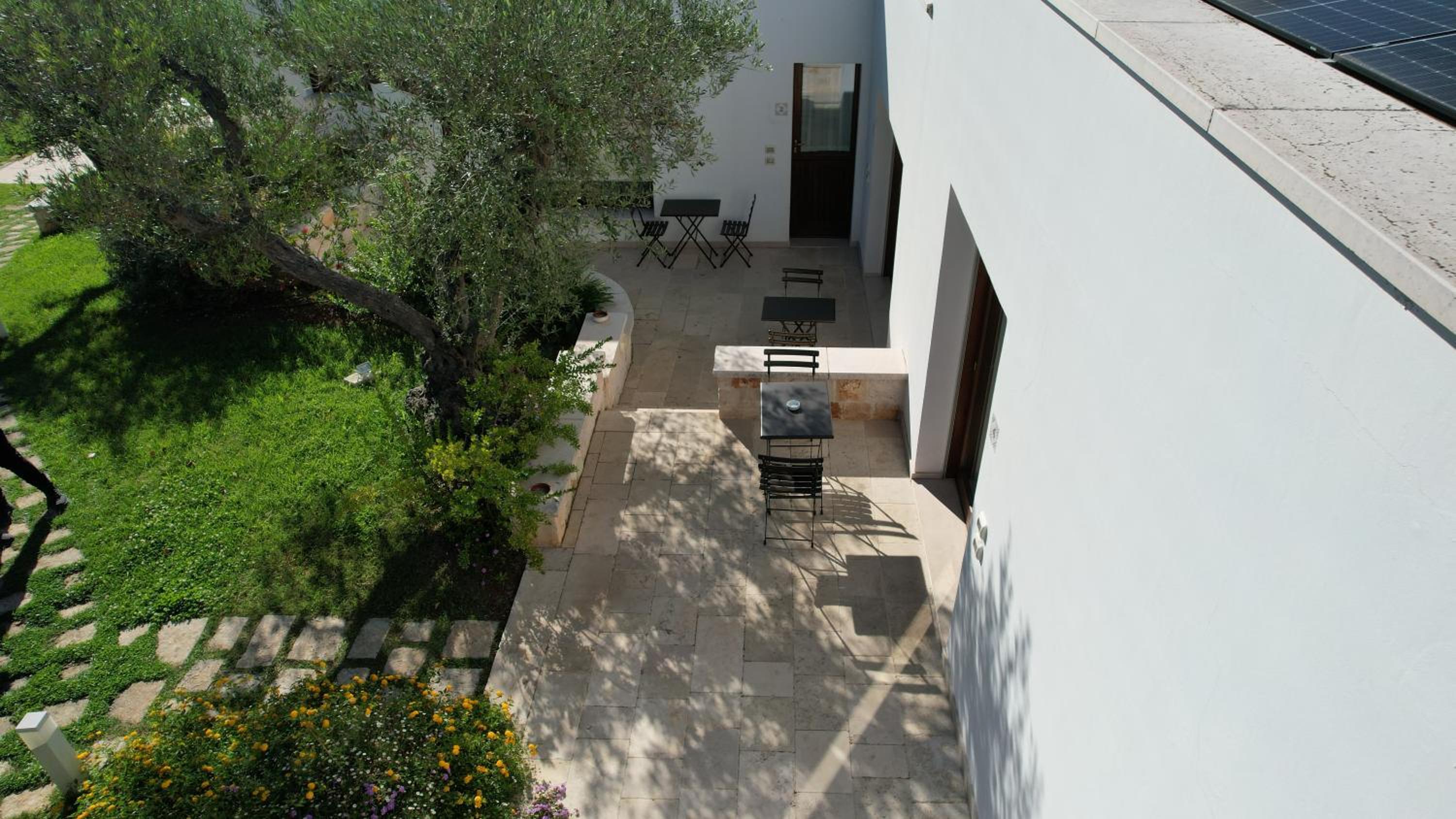 Photo 44